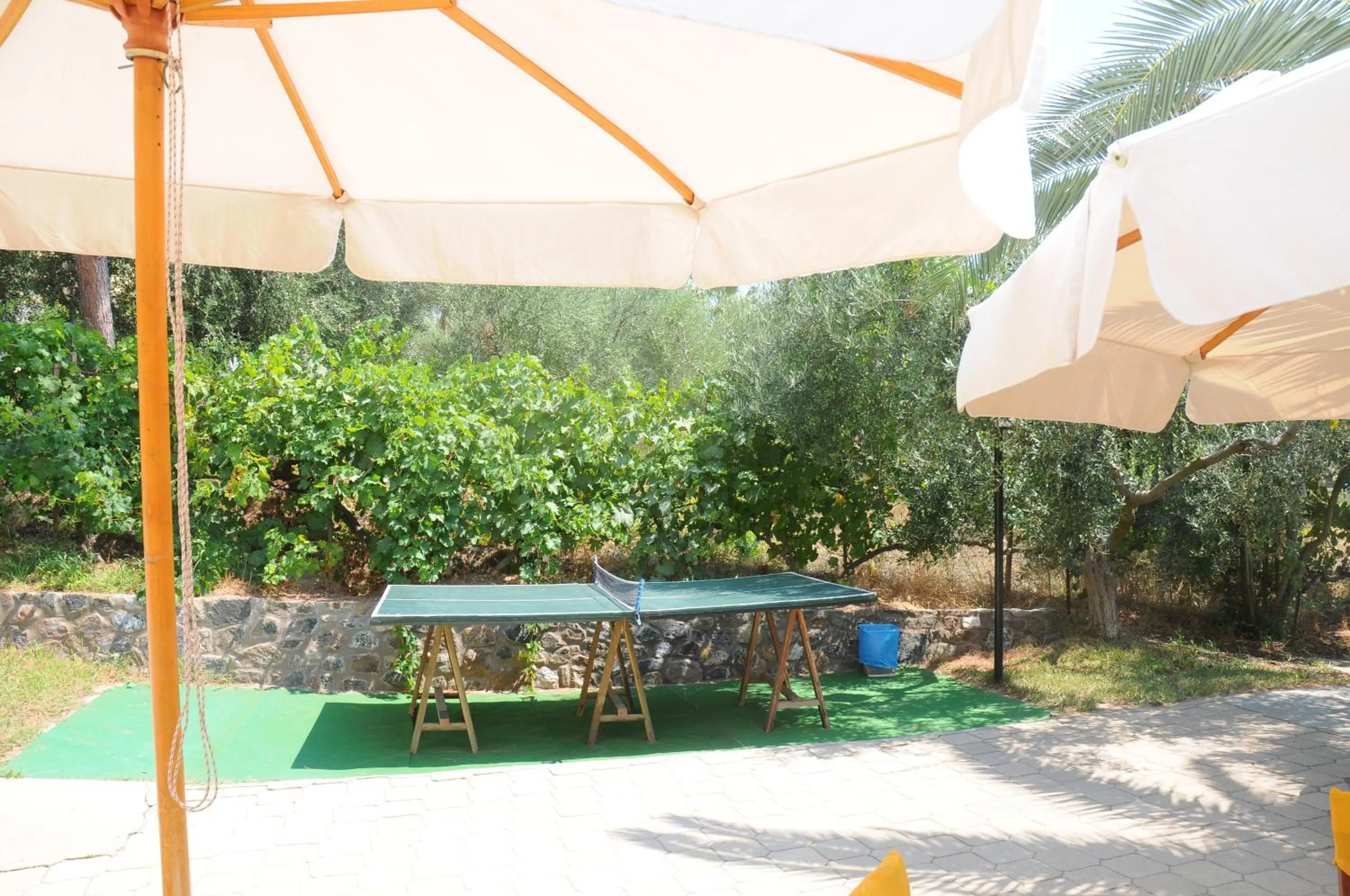 Garden in Maistrali Beach Studios