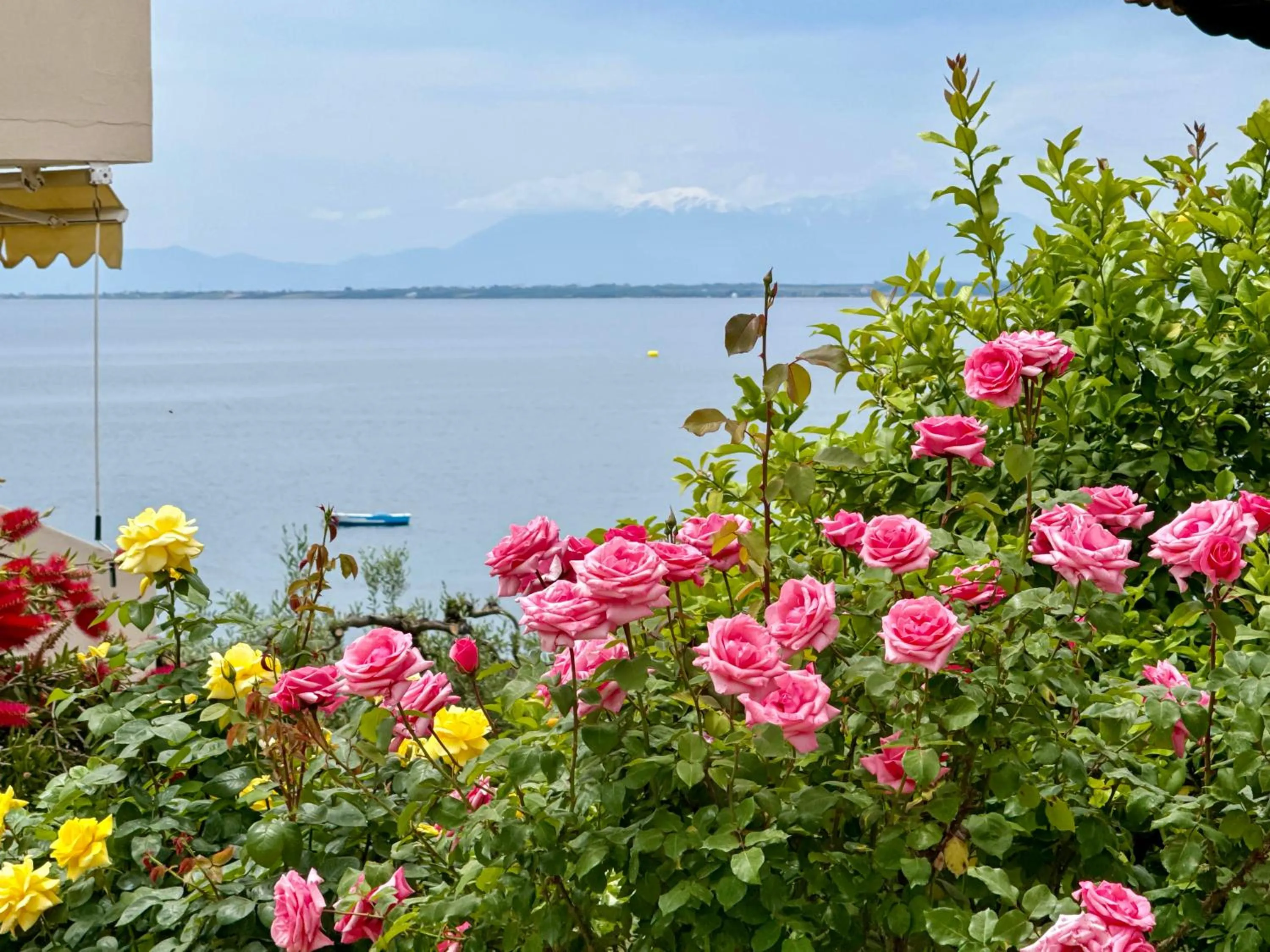 Mountain view in Maistrali Beach Studios