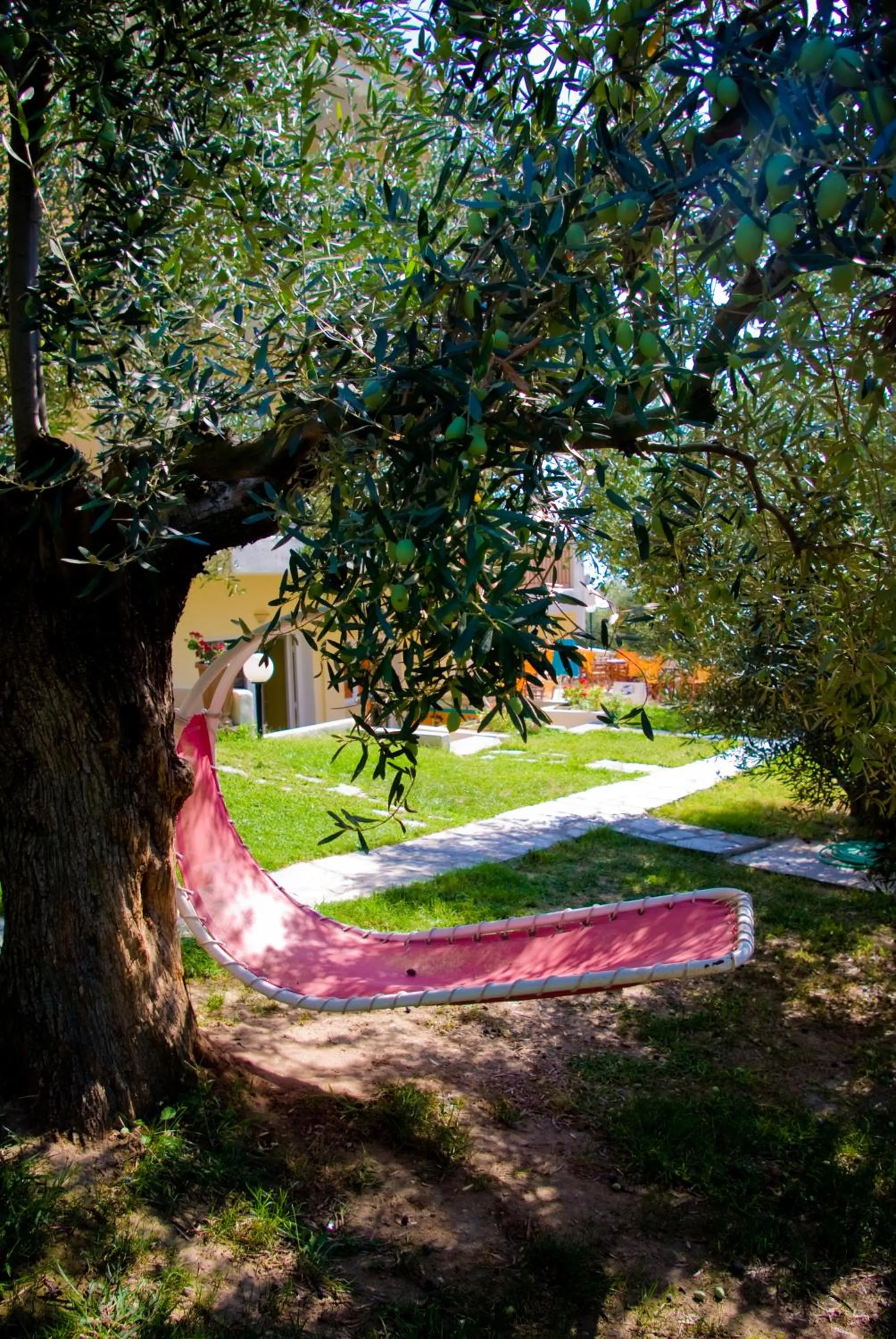 Garden in Maistrali Beach Studios
