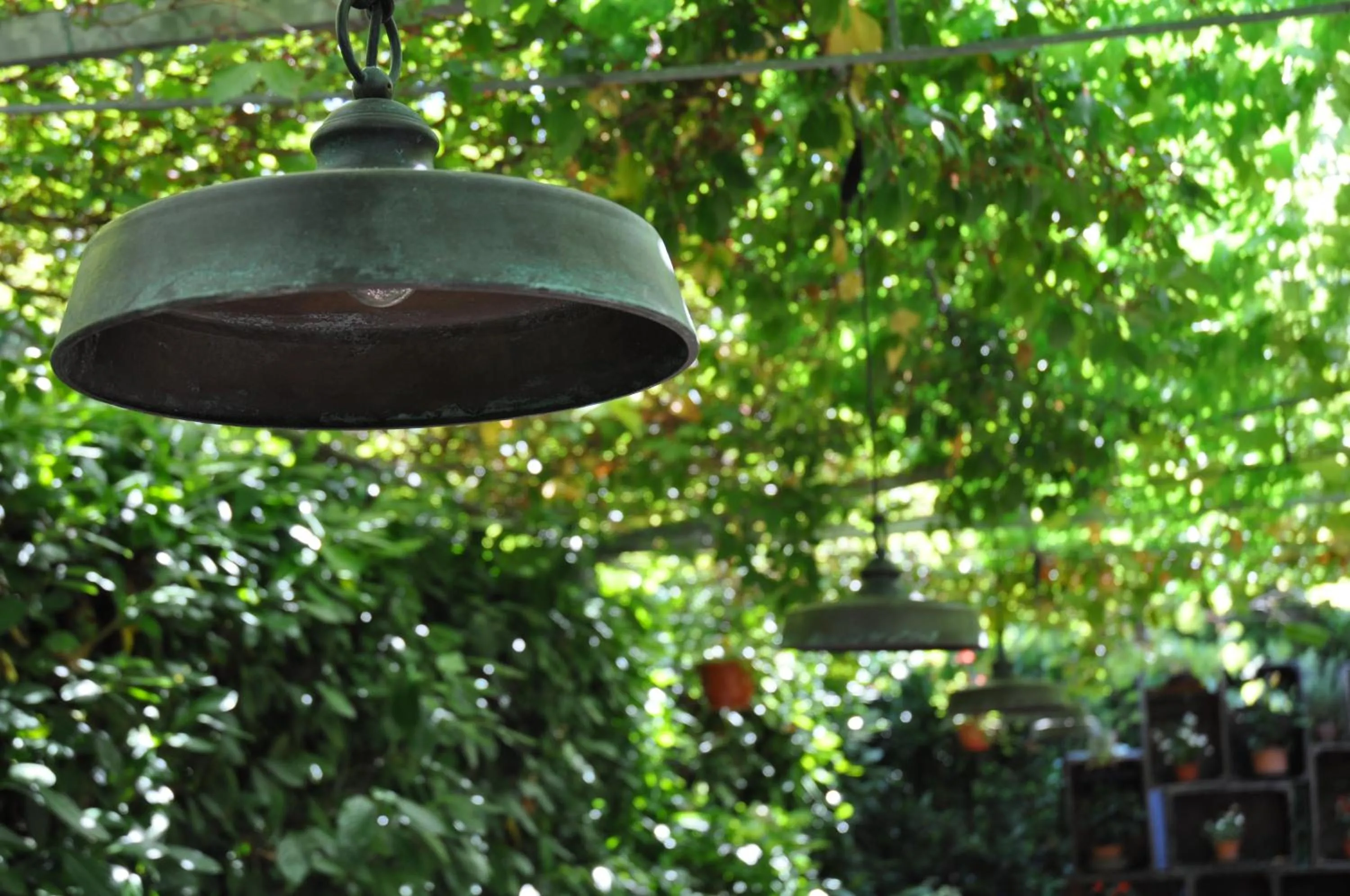 Garden in Casa Rosanna