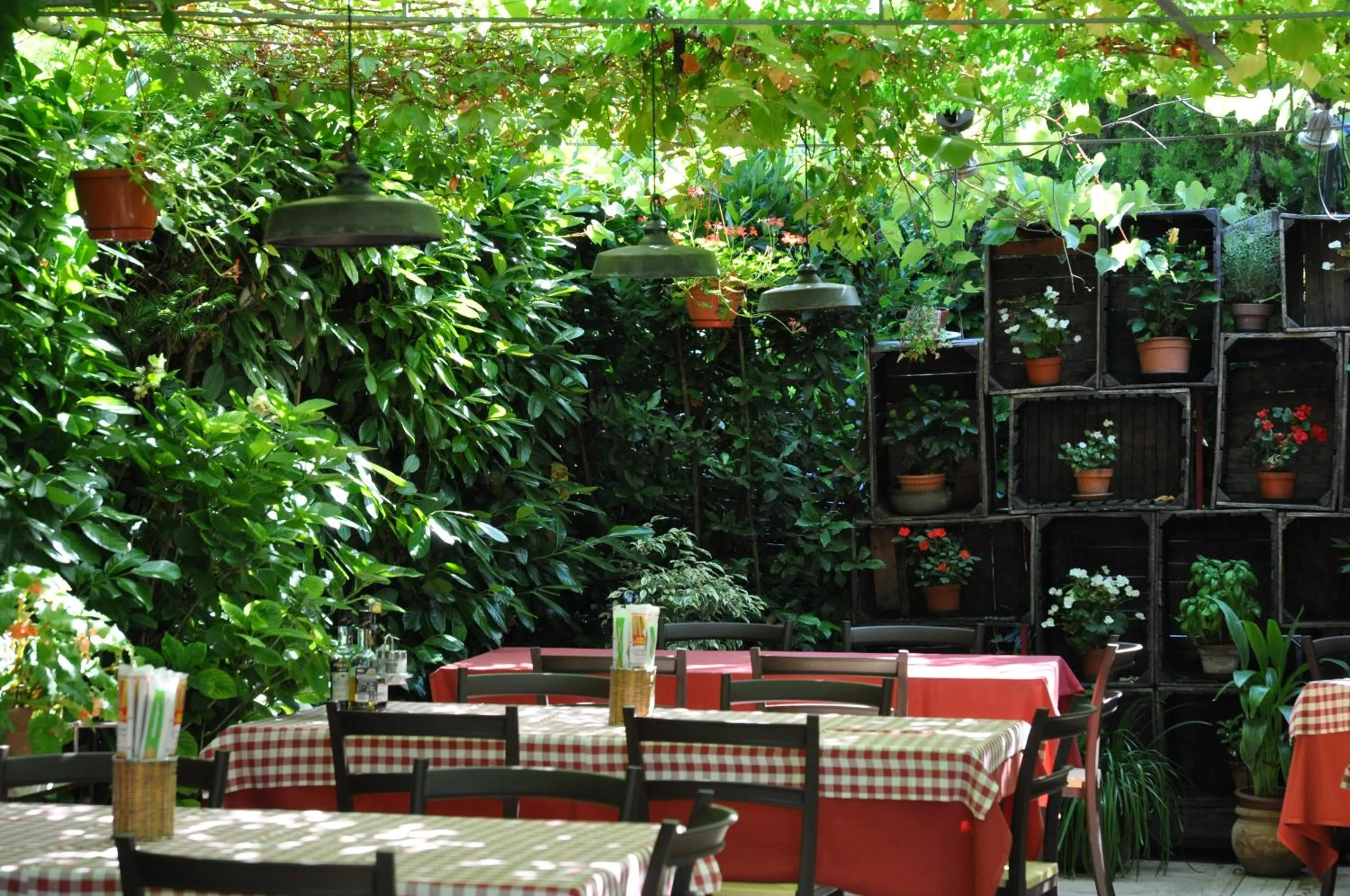 Restaurant/places to eat in Casa Rosanna