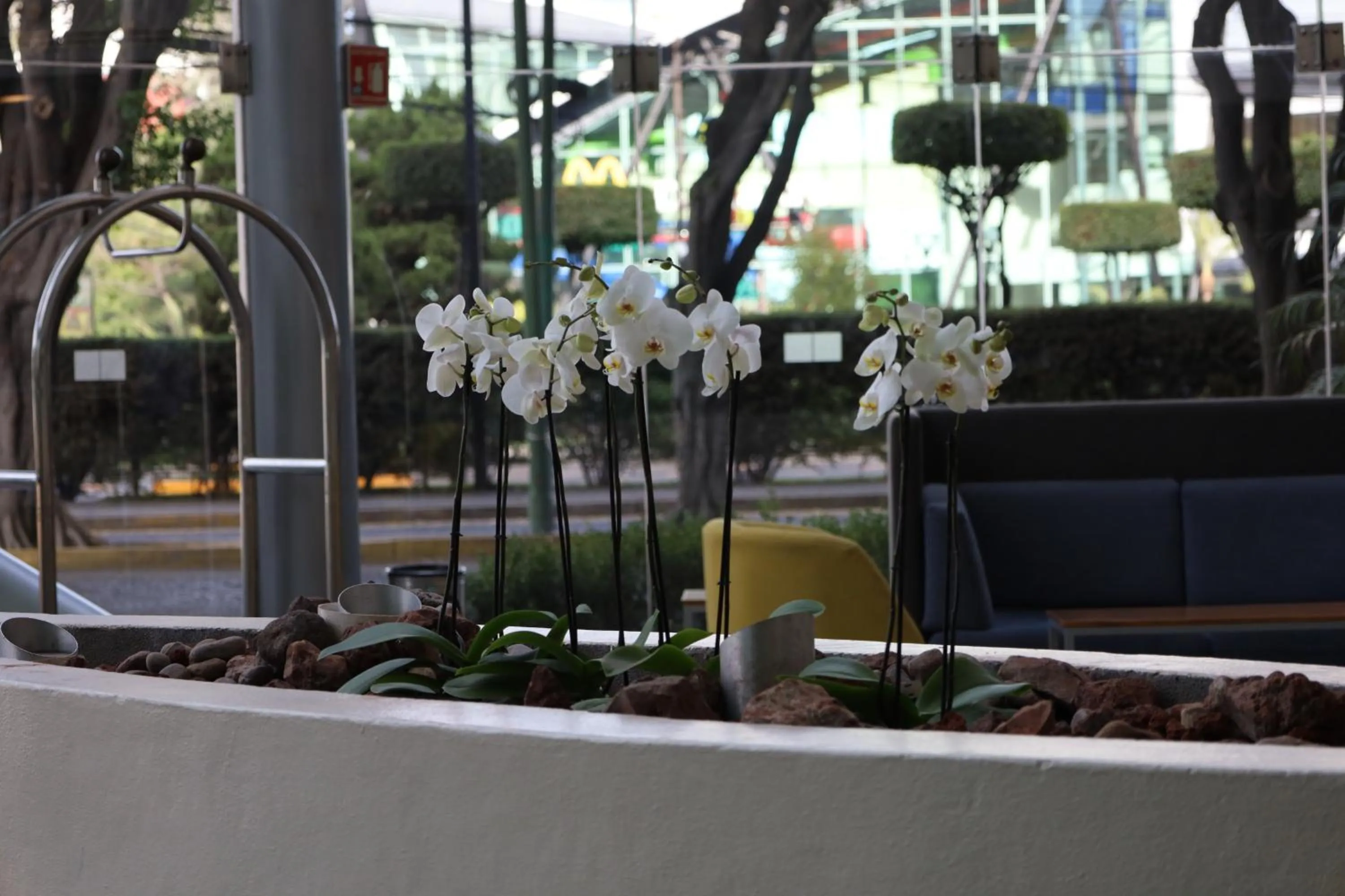 Lobby or reception in Holiday Inn Express Guadalajara Expo by IHG