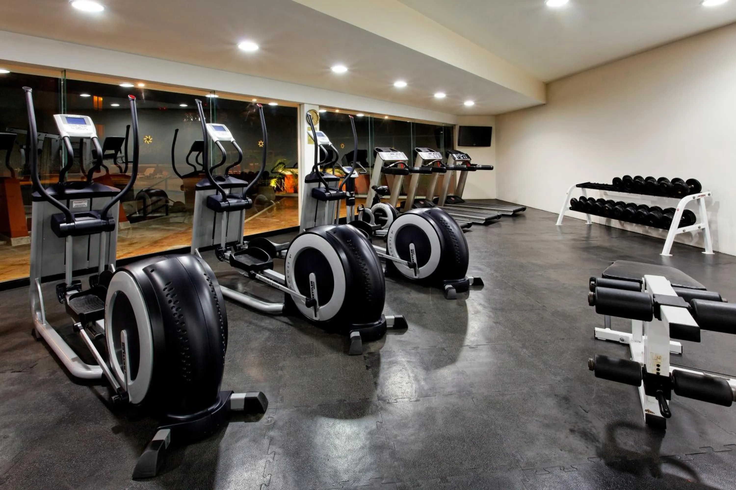 Fitness centre/facilities in Holiday Inn Merida by IHG