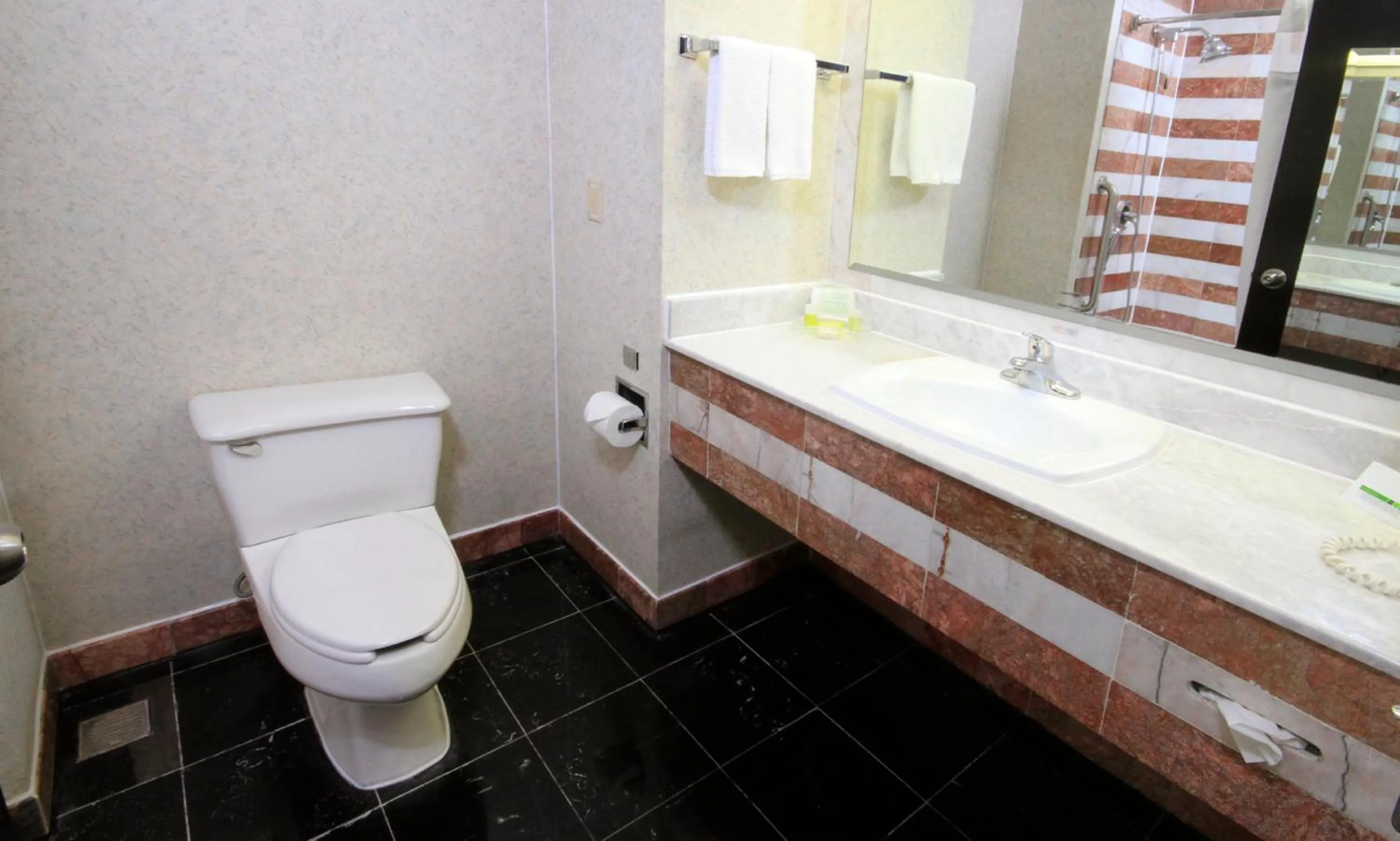 Bathroom in Holiday Inn Monterrey-Parque Fundidora by IHG