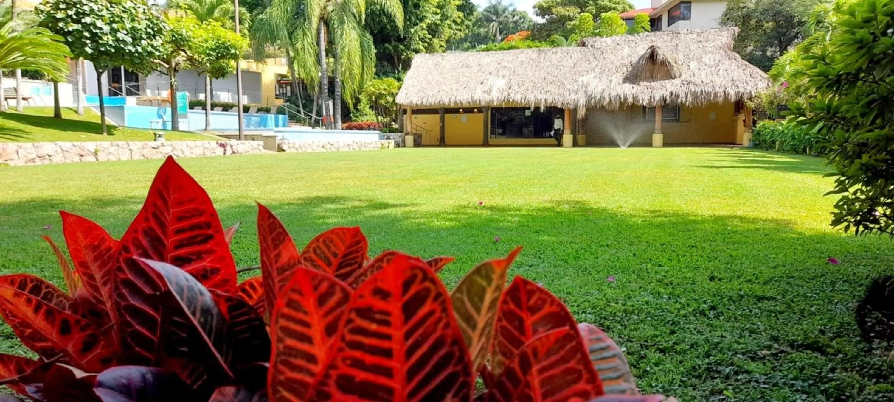 Day in Holiday Inn Cuernavaca by IHG