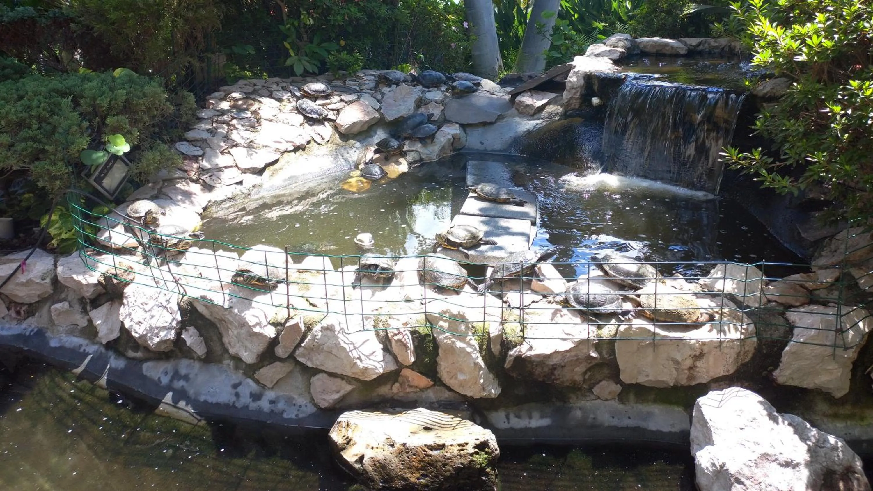 Other in Holiday Inn Cuernavaca by IHG