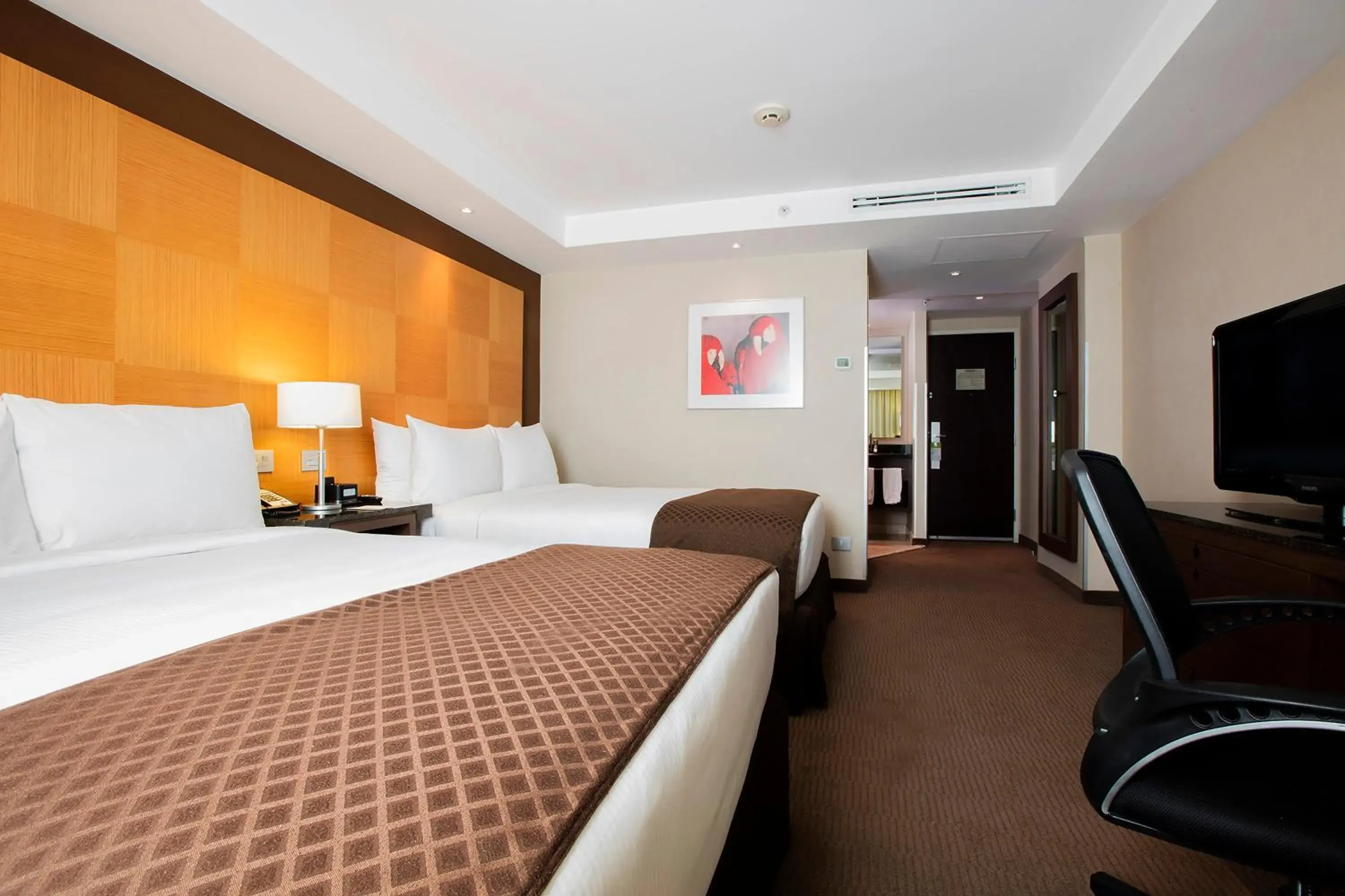 Standard Double Room in Krystal Urban Aeropuerto Ciudad de Mexico Standard Double Room in Krystal Urban Aeropuerto Ciudad de Mexico