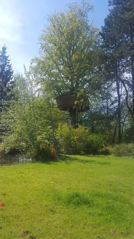 Garden in Le Domaine de Wail - Legends Resort