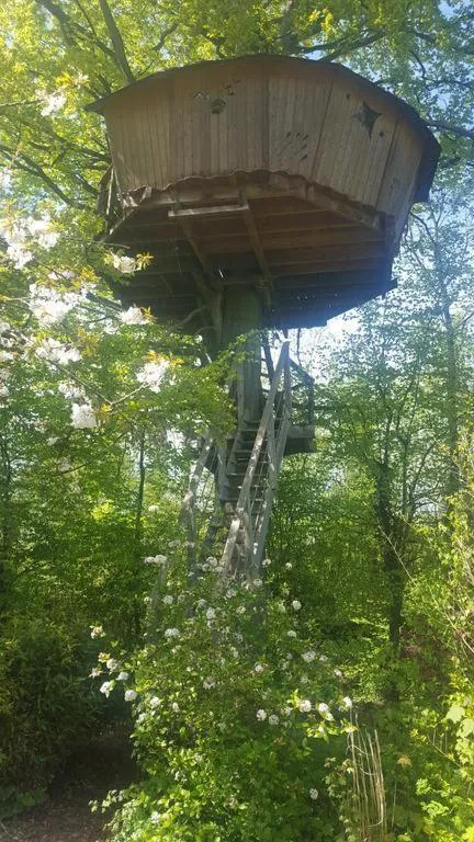 Garden in Le Domaine de Wail - Legends Resort