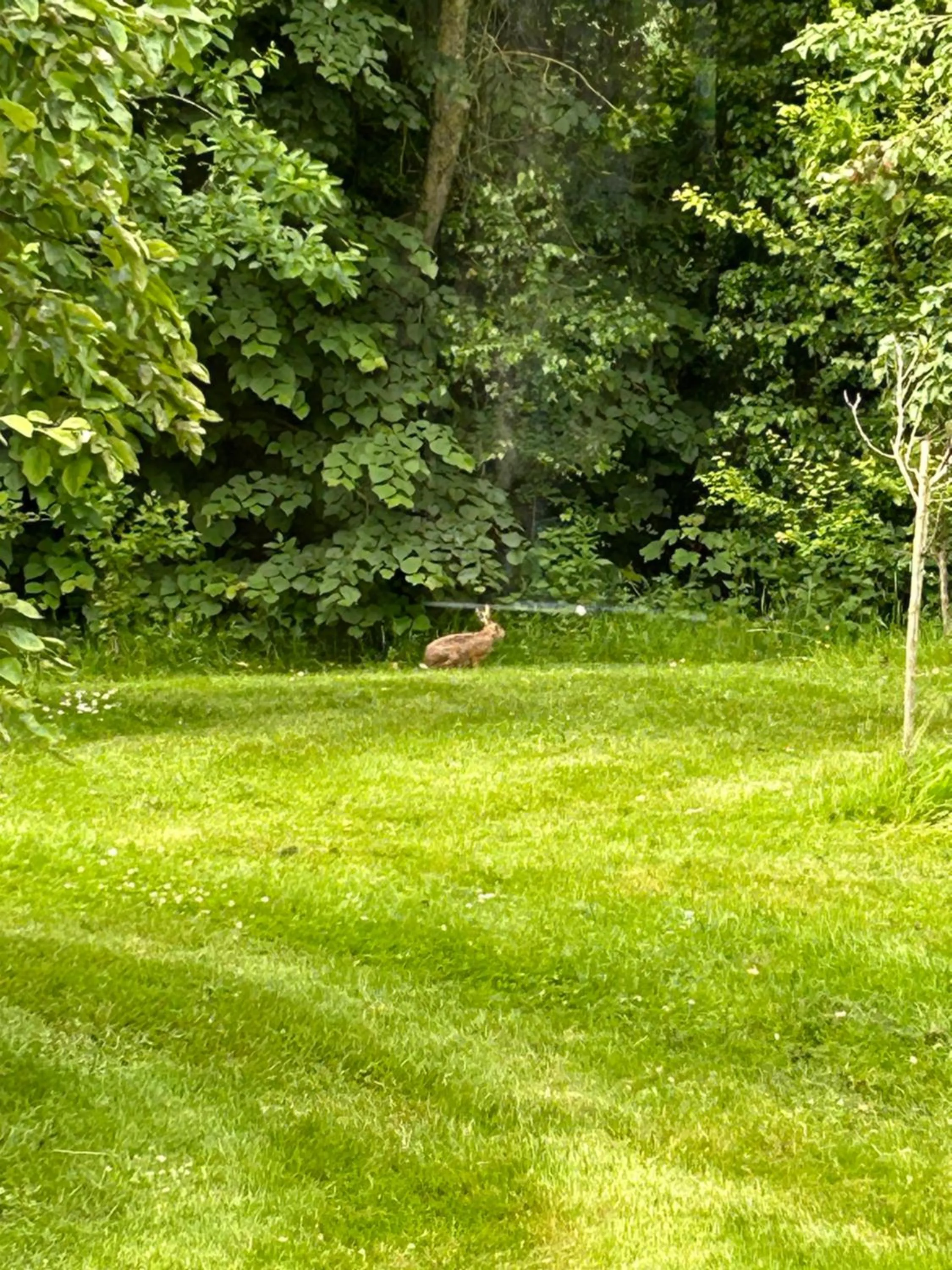 Spring in Le Domaine de Wail - Legends Resort