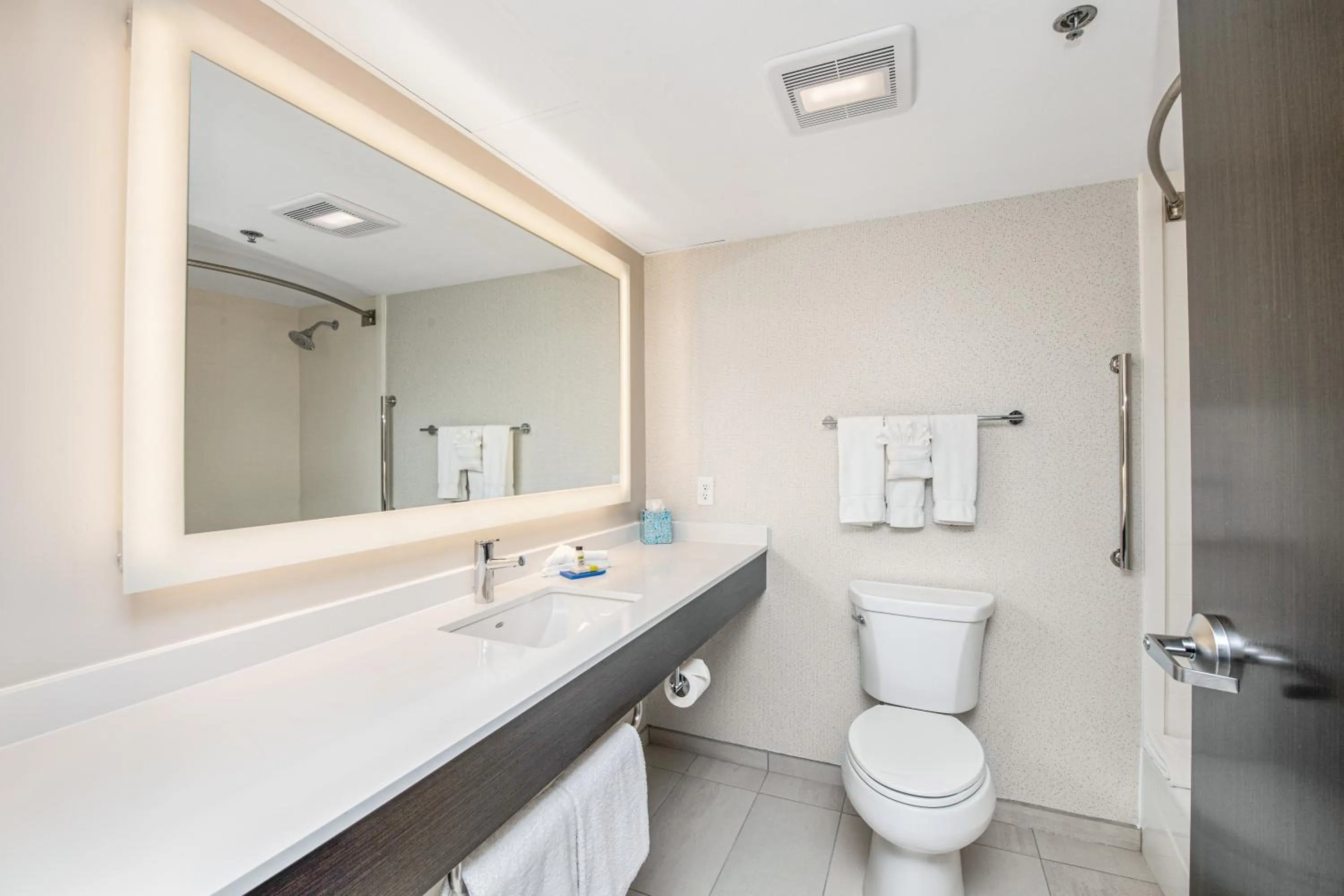 Bathroom in Holiday Inn Express - Delafield by IHG