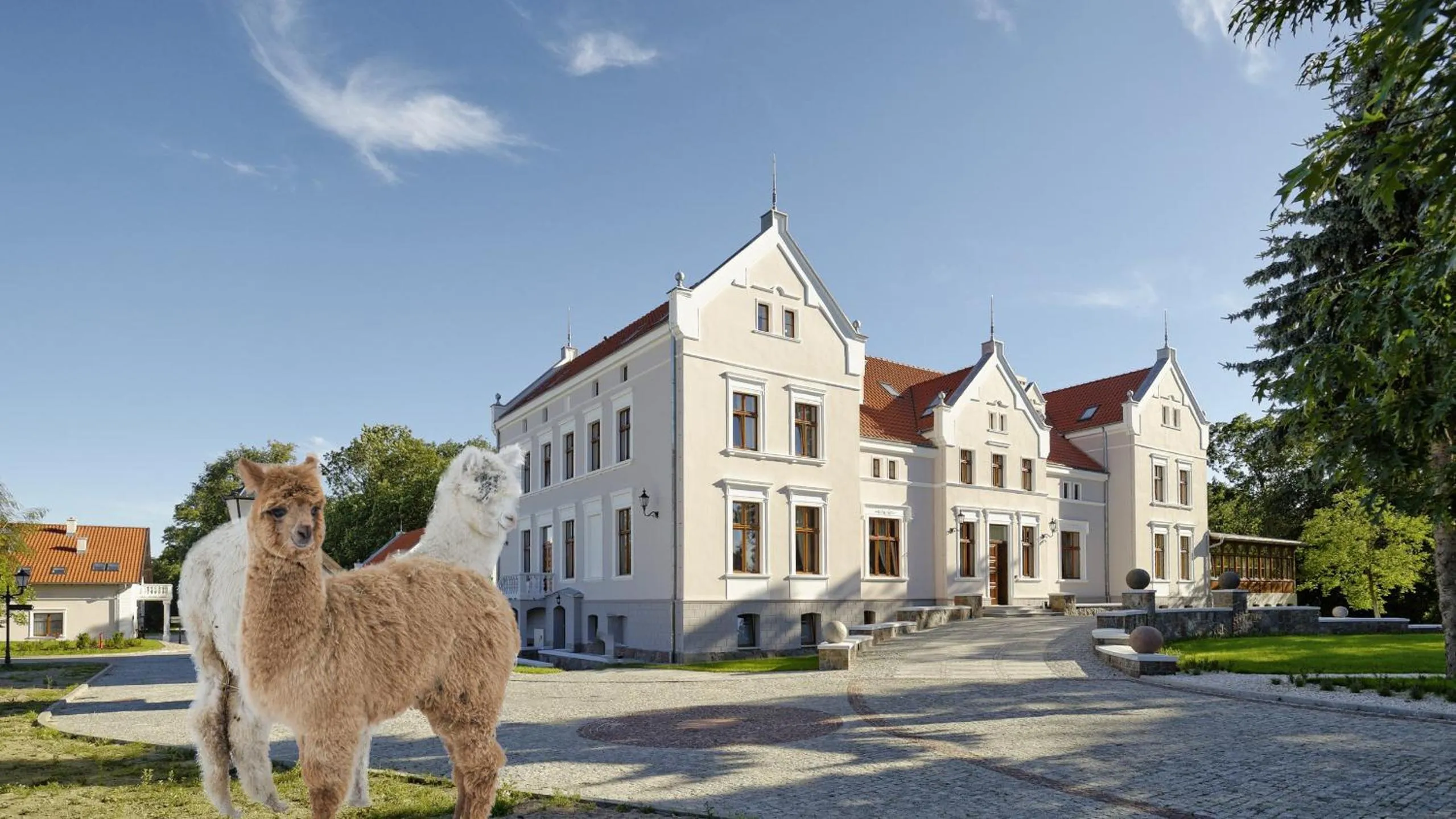 Palac Mortegi Hotel & SPA- Restauracja Szlachecka, SPA, Basen, Sauny, Jazda Konna, Mini Zoo- Luksus, Relaks i Przyroda w jednym!