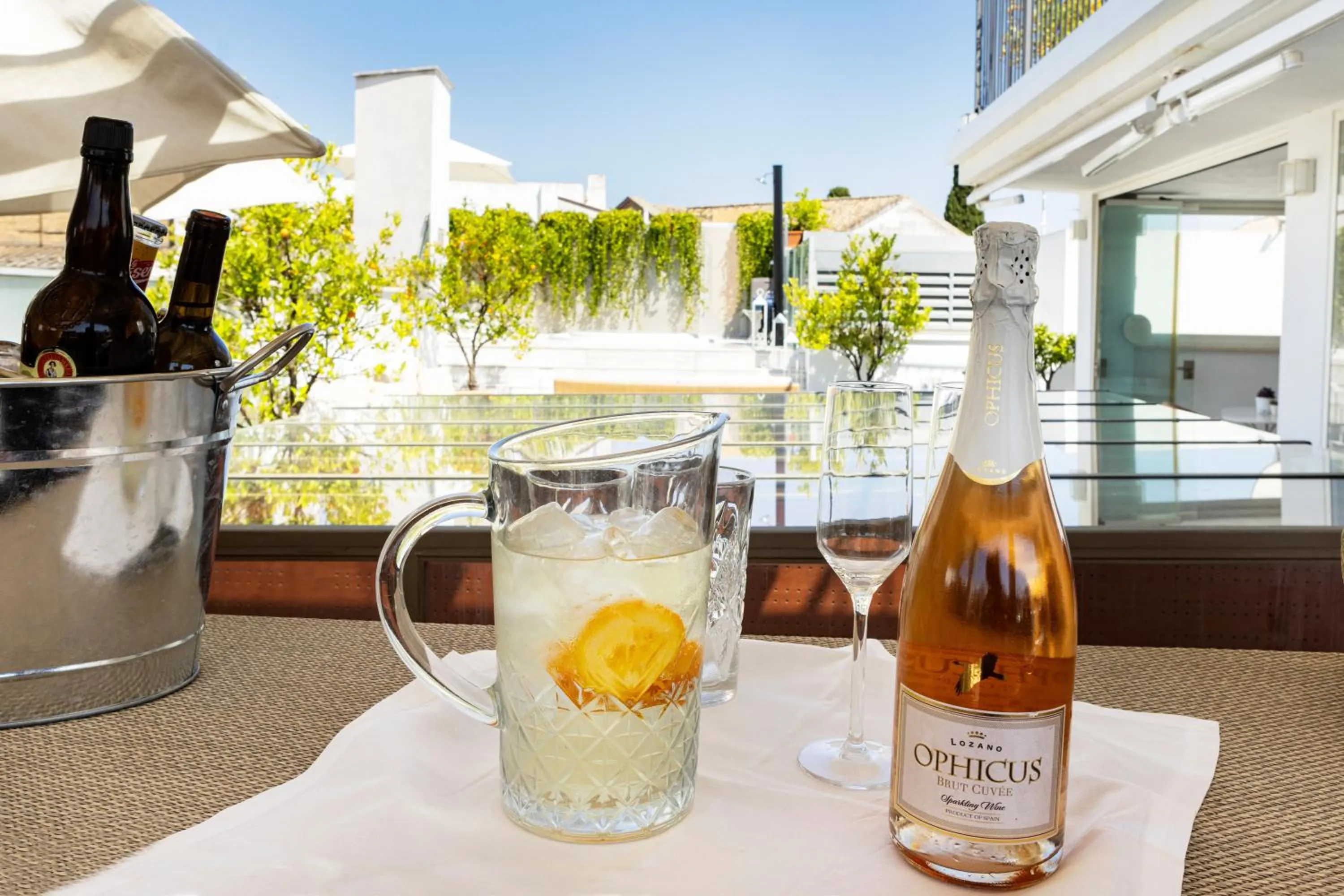 Balcony/Terrace in Hotel Amadeus Sevilla