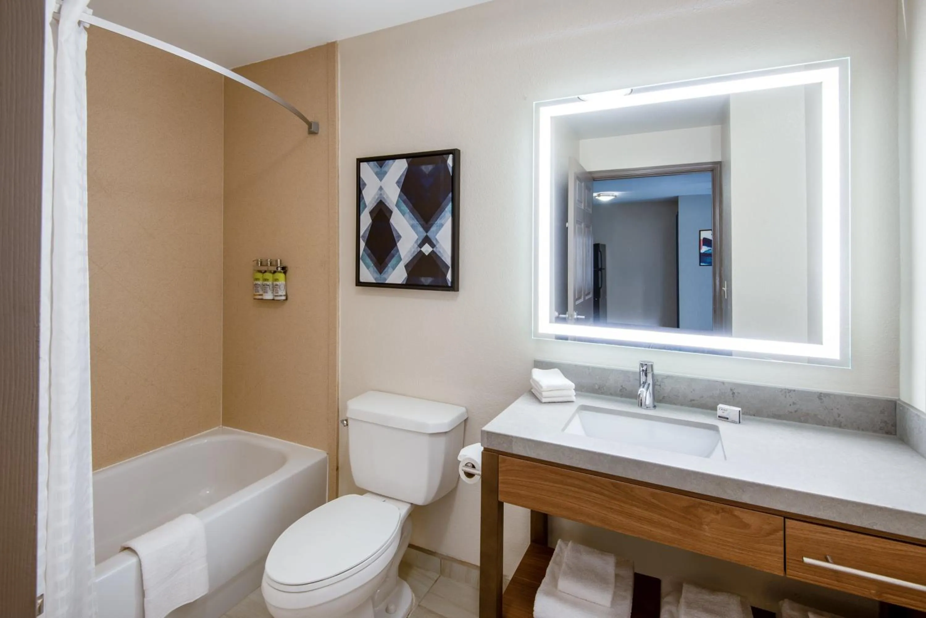 Bathroom in Candlewood Suites Manassas by IHG