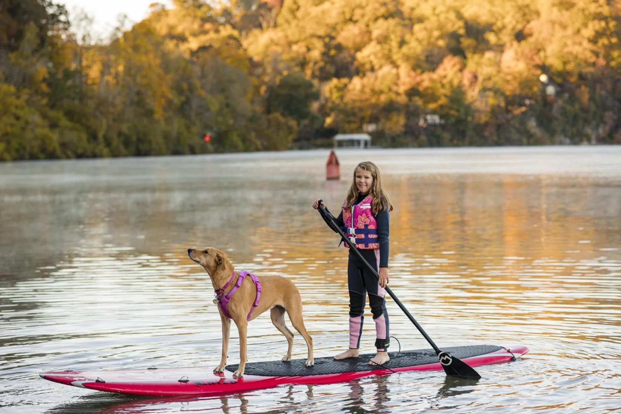 Nearby landmark in Holiday Inn Express & Suites Knoxville-Farragut by IHG