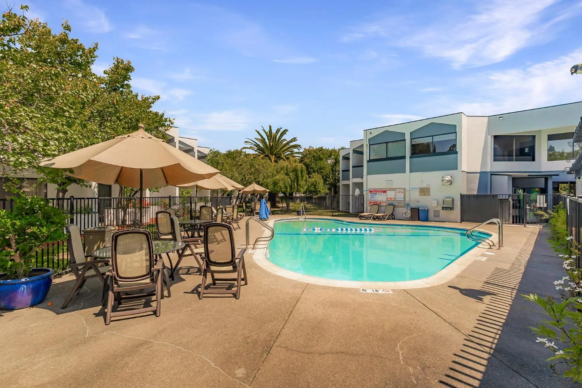 Swimming pool in Best Western Plus Wine Country Inn & Suites
