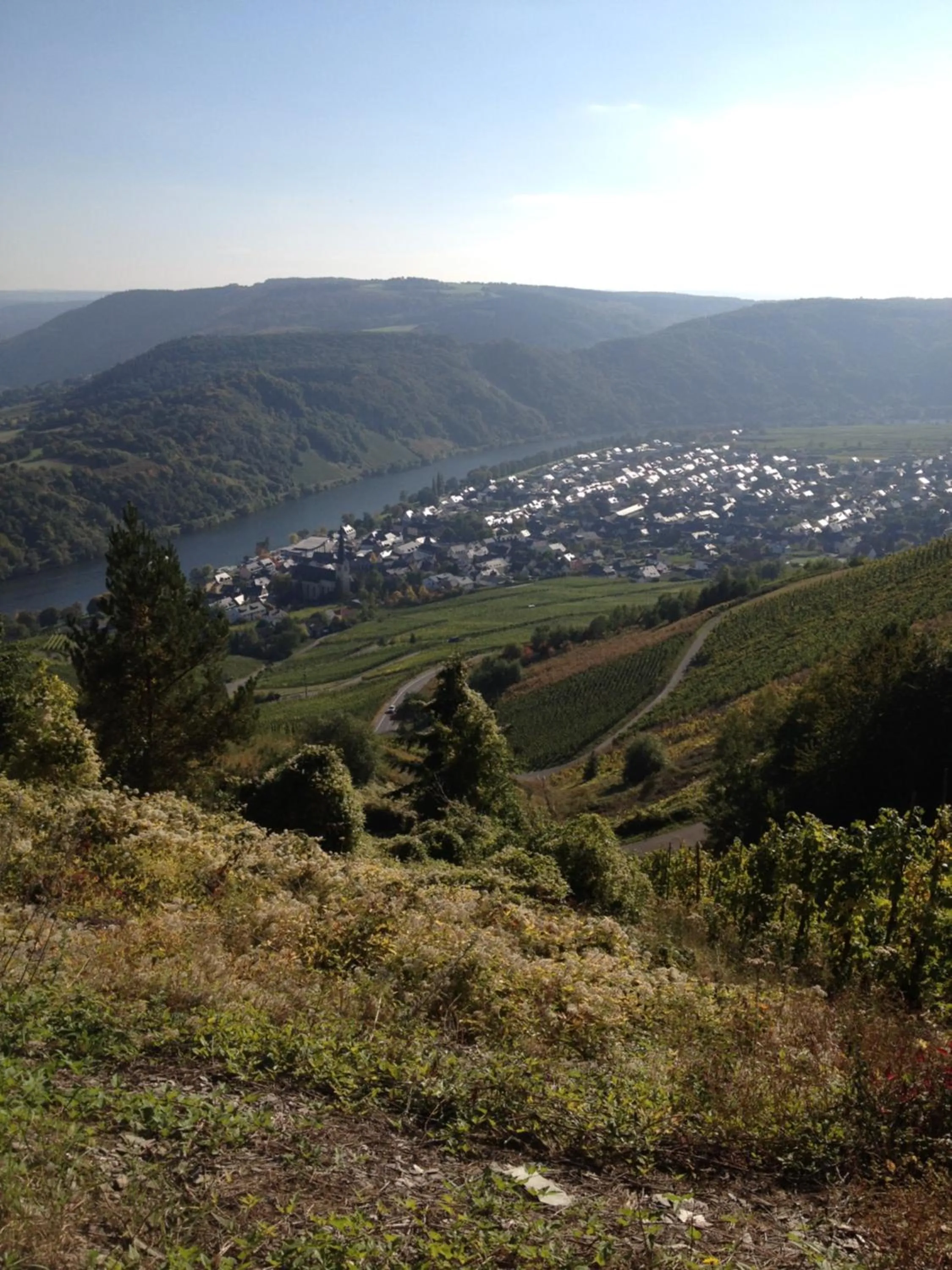 Natural landscape in Hotel Springiersbacher-Hof