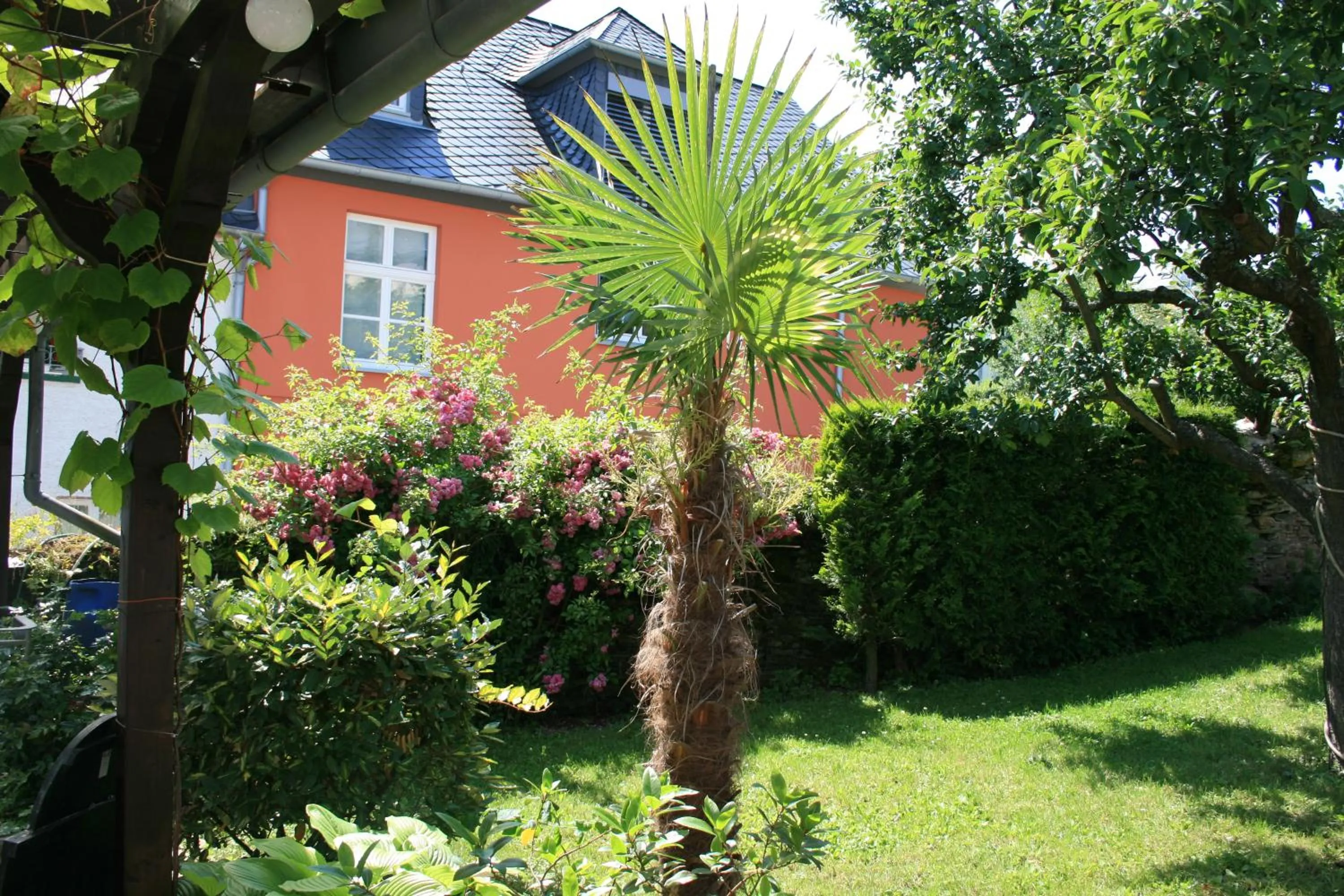 Garden in Hotel Springiersbacher-Hof
