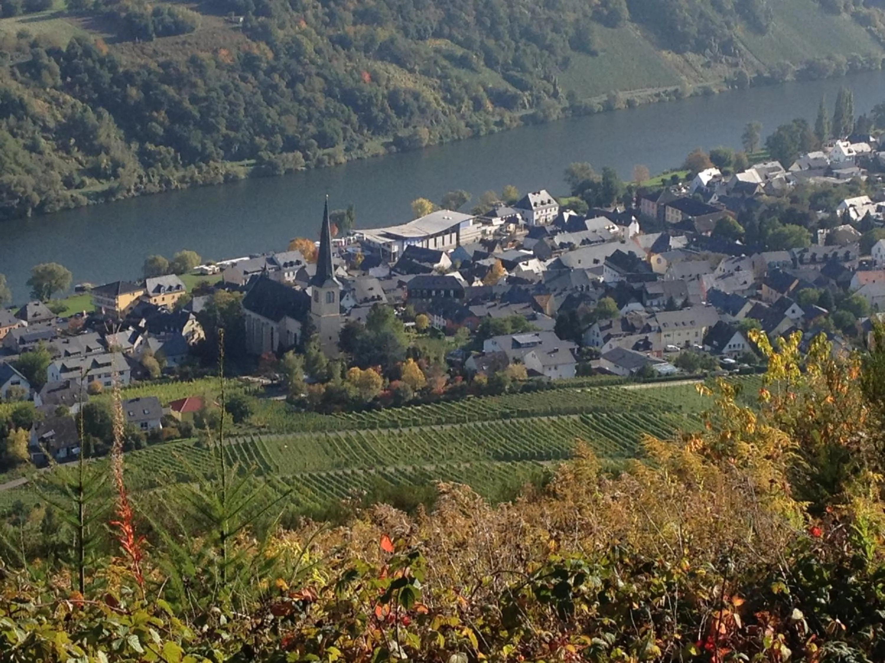 Natural landscape in Hotel Springiersbacher-Hof
