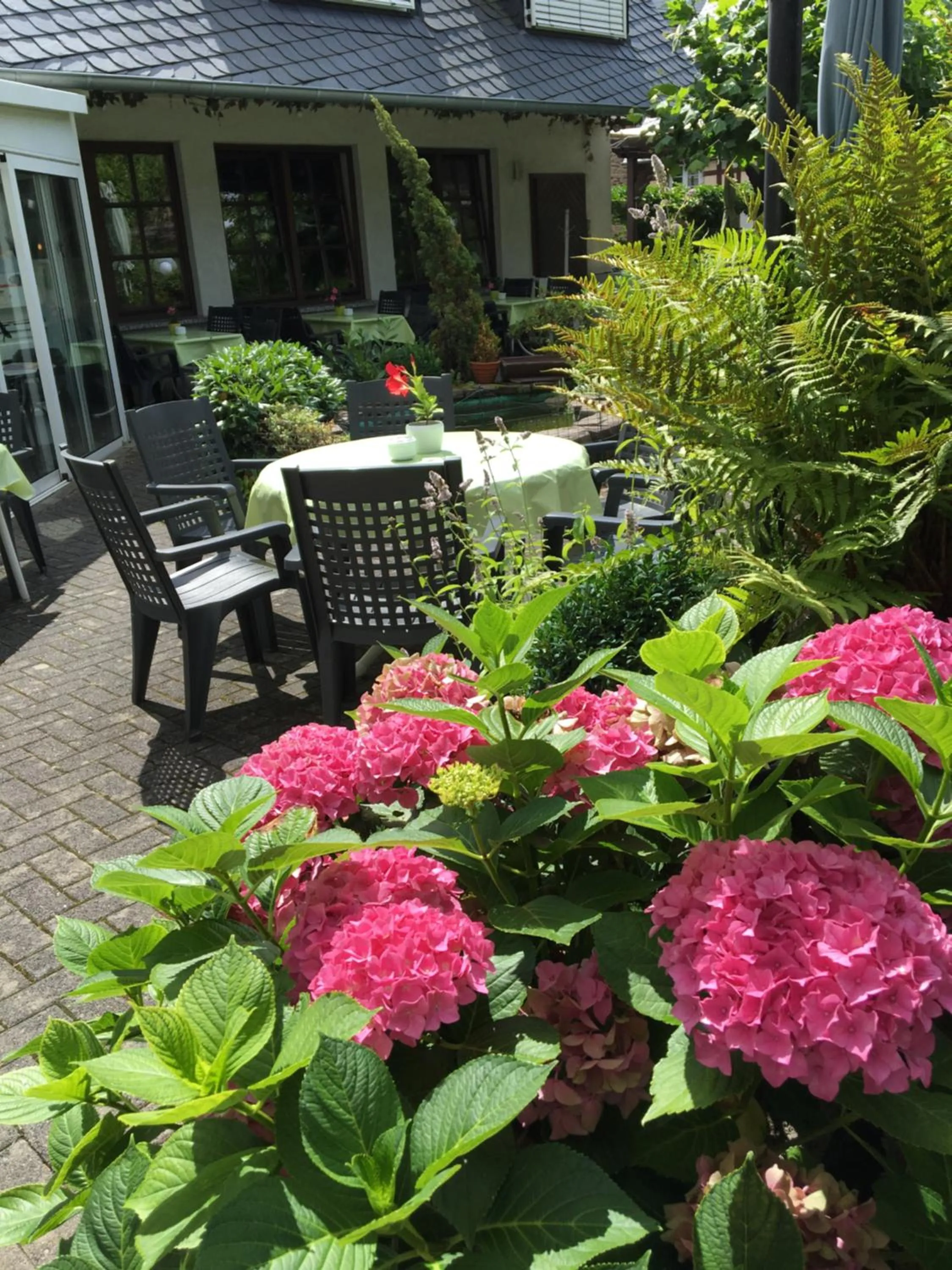 Garden in Hotel Springiersbacher-Hof