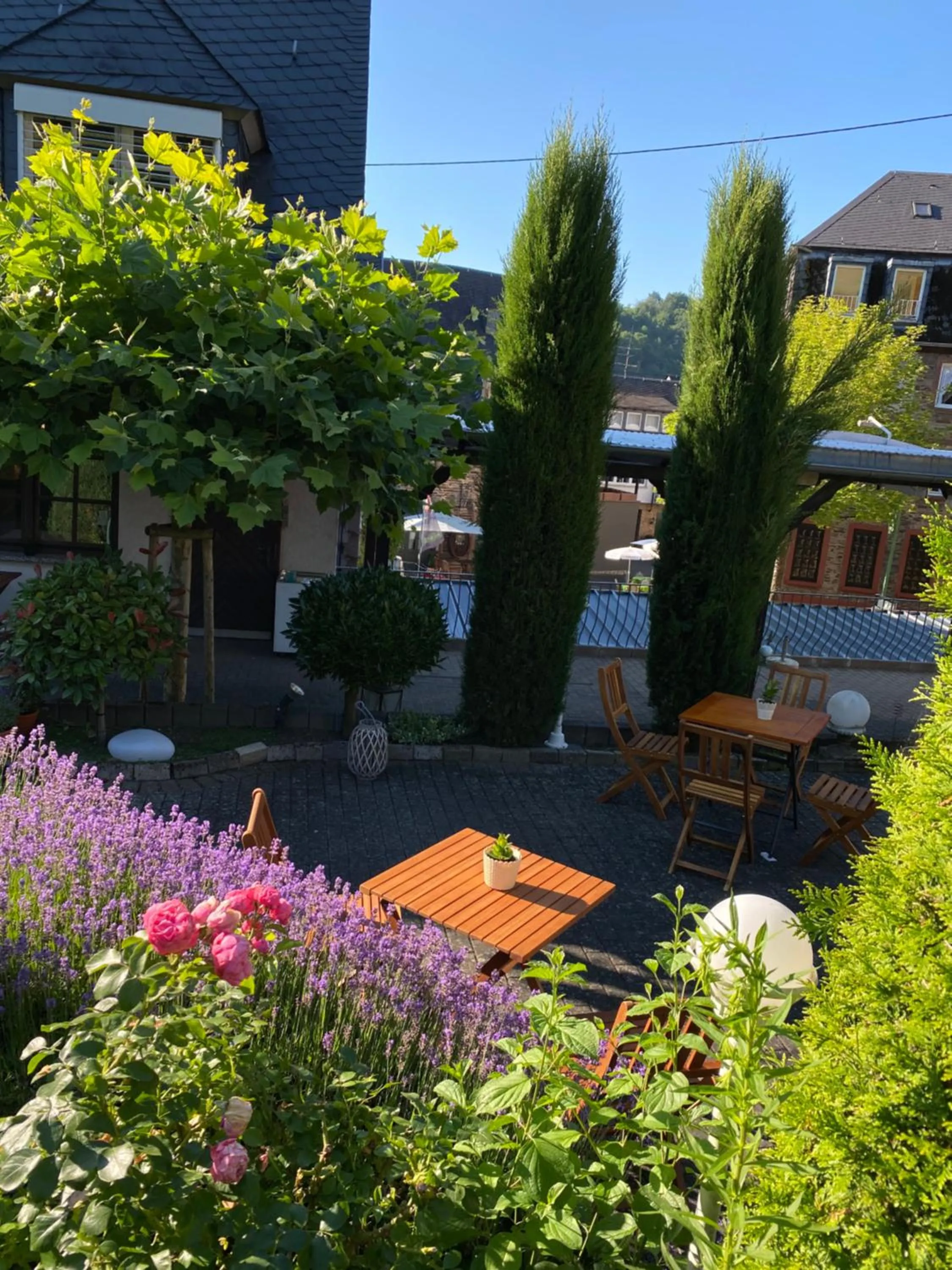 Hotel Springiersbacher-Hof