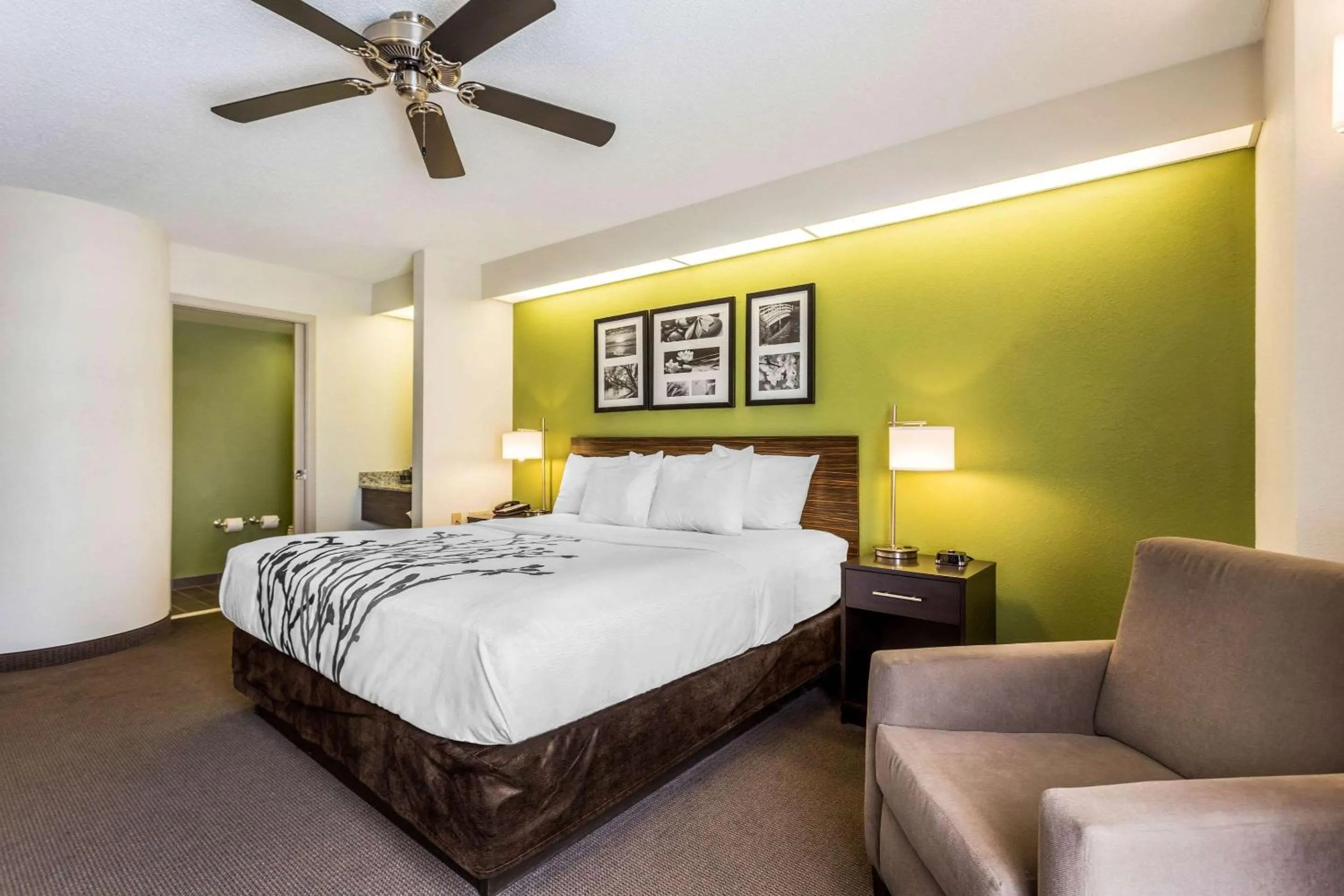 Photo of the whole room, Bed in Sleep Inn Charleston - West Ashley