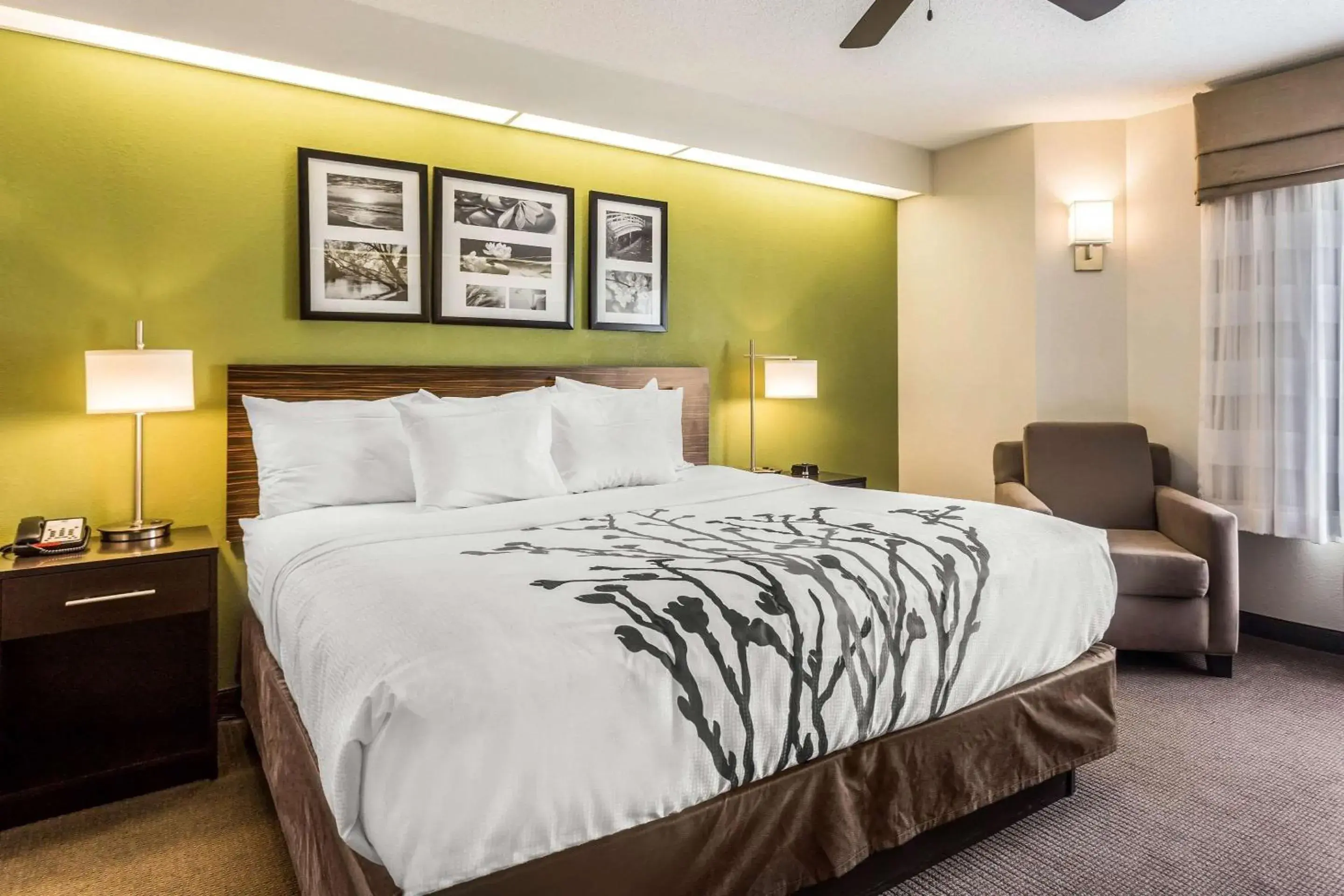 Standard King Room in Sleep Inn Charleston - West Ashley Standard King Room in Sleep Inn Charleston - West Ashley