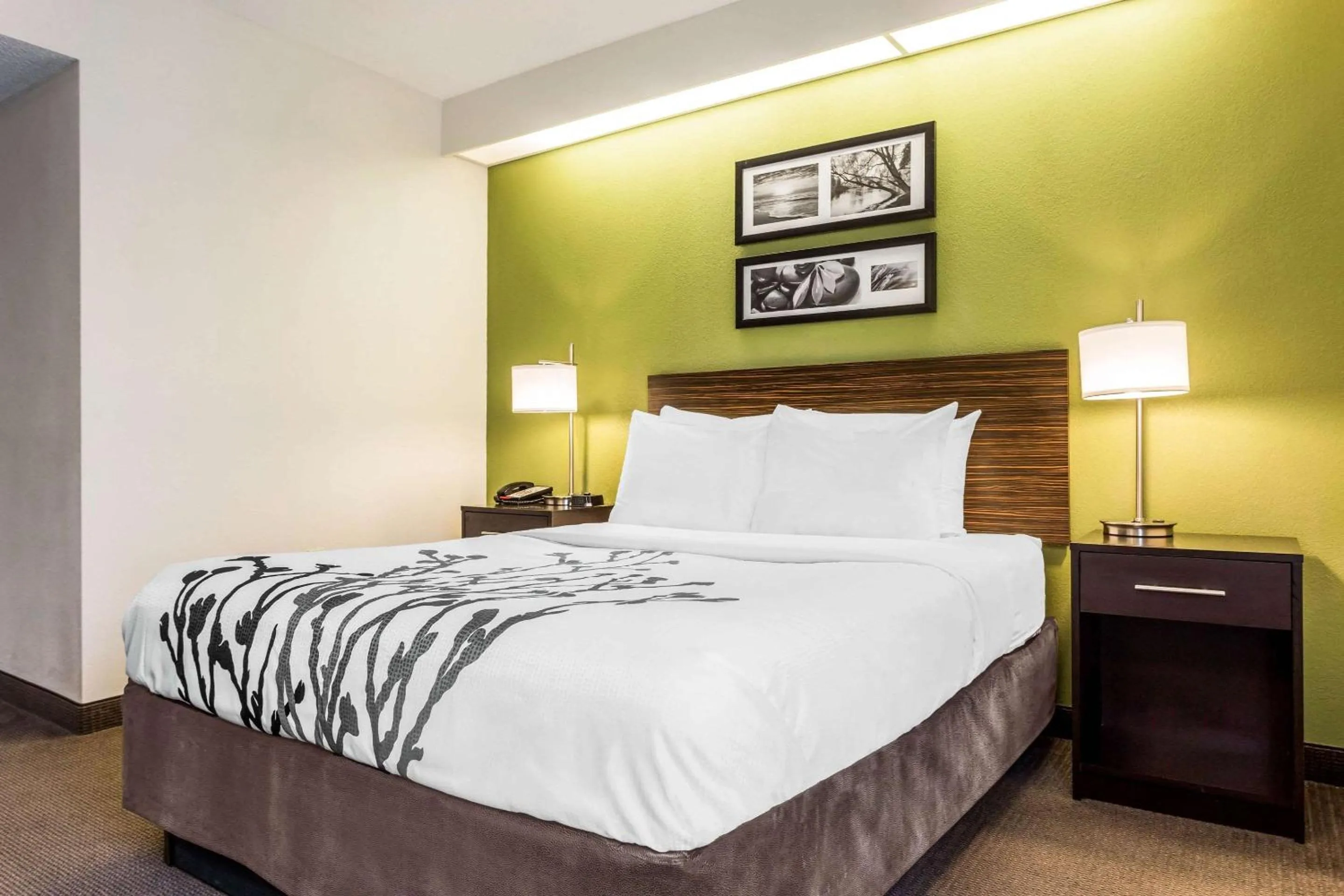 Photo of the whole room, Bed in Sleep Inn Charleston - West Ashley