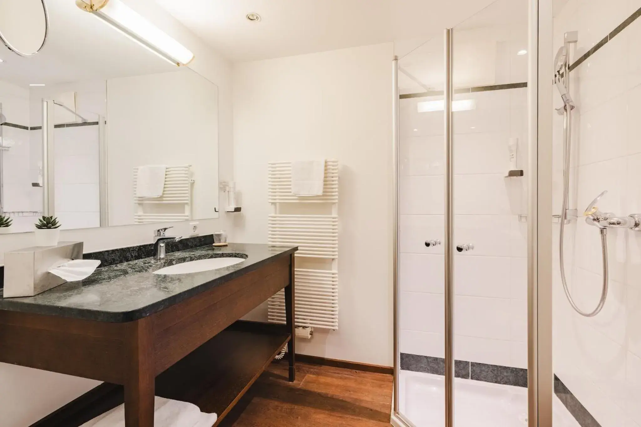 Single Room in Hotel Friesacher`s Aniferhof Single Room in Hotel Friesacher`s Aniferhof