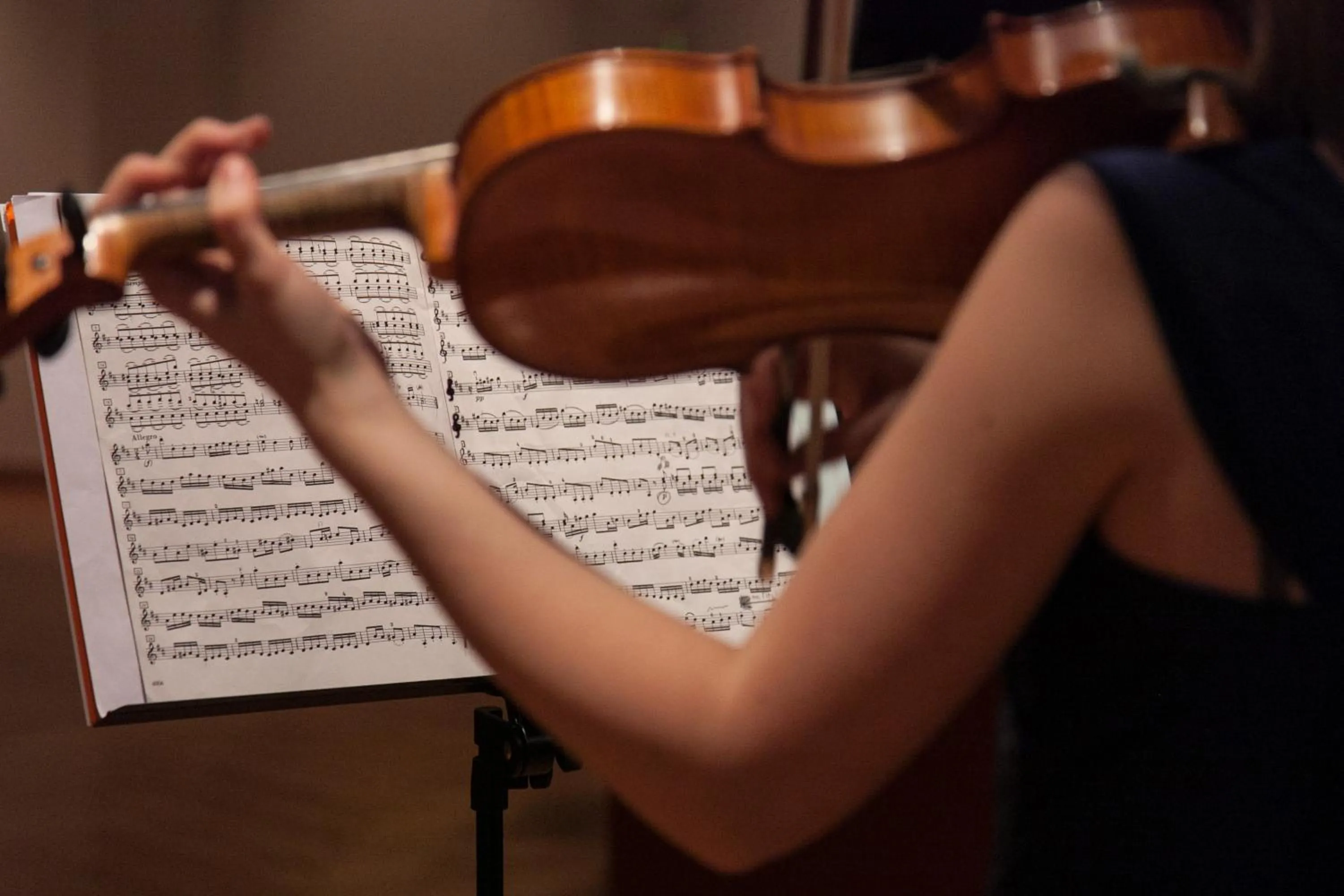 Entertainment in Hotel Krone in Au