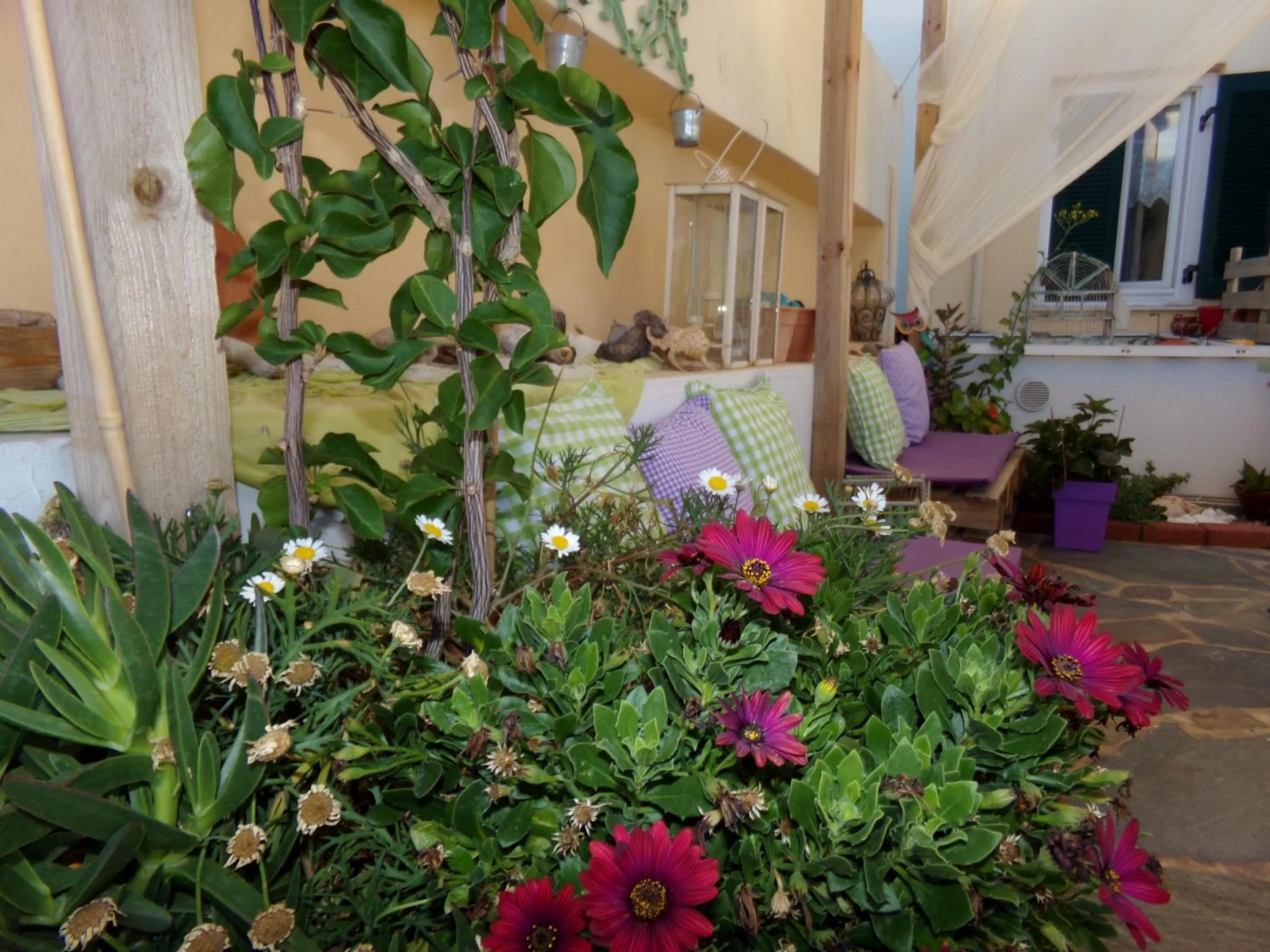 Garden in Locadiera Pansion