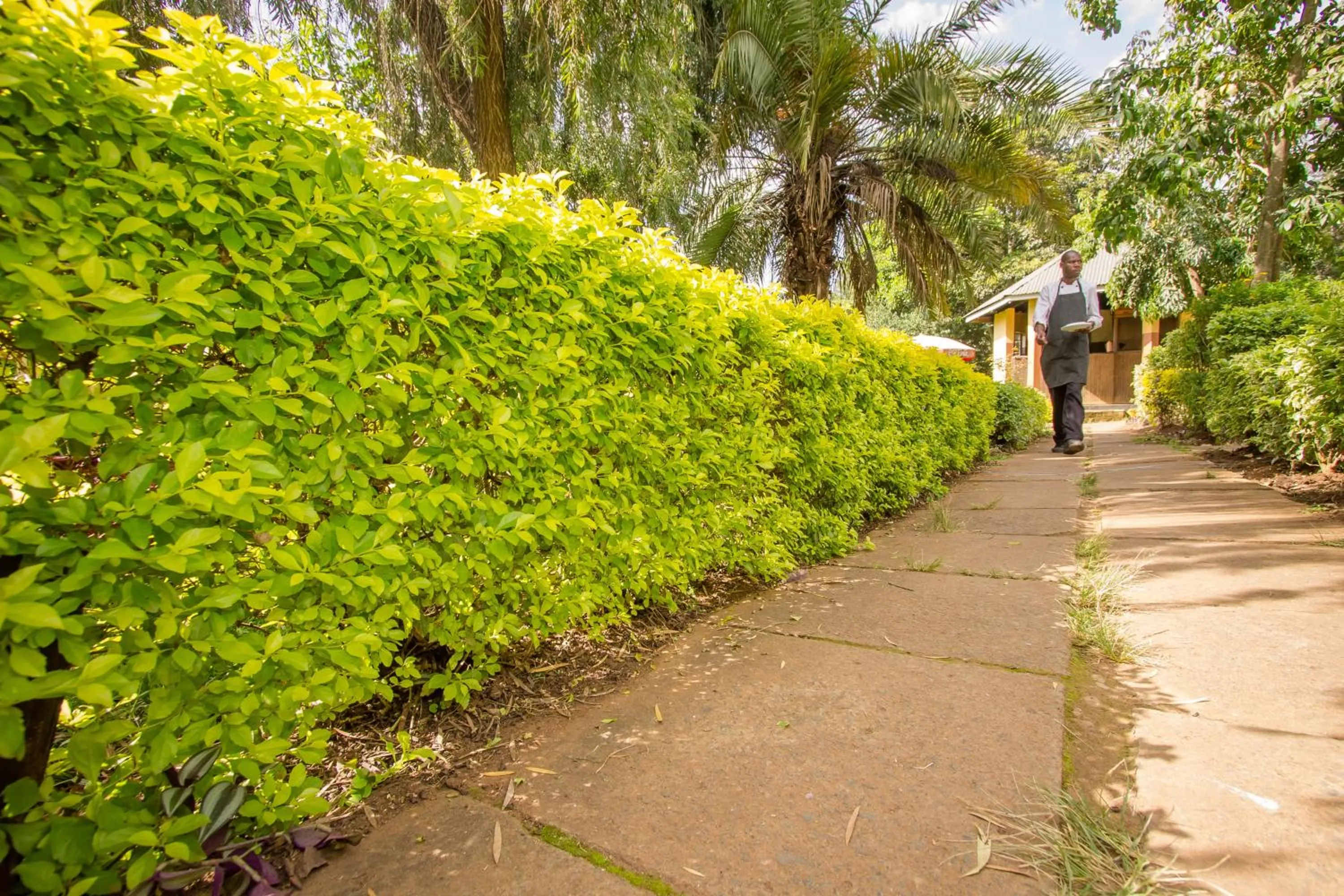 Garden in Engo Airport Resort Kitale