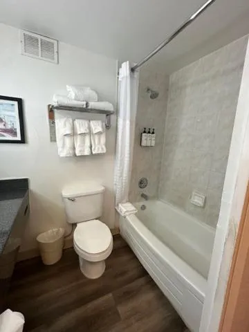 Wyndham Garden Norfolk Downtown