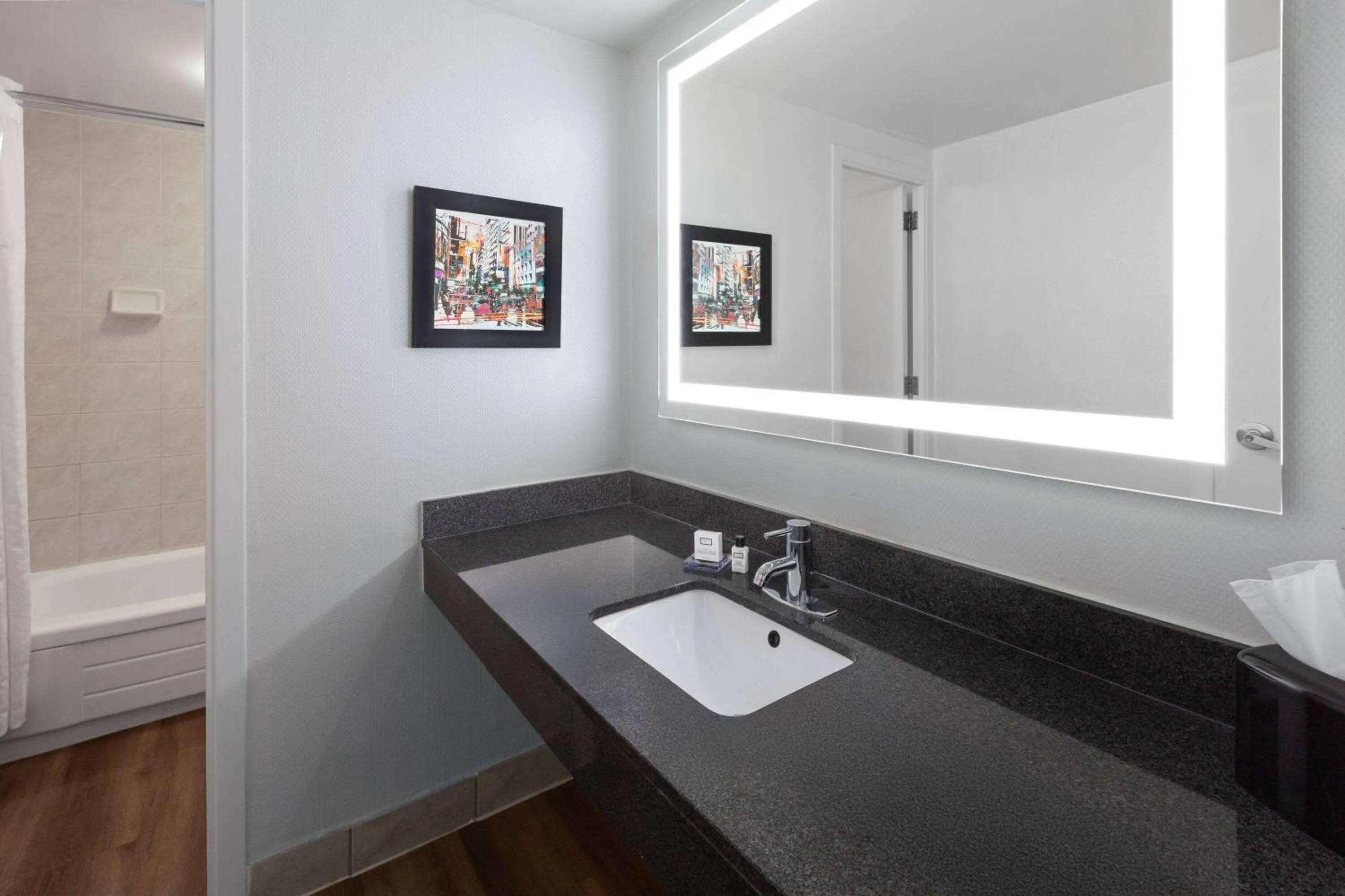 Bathroom in Wyndham Garden Norfolk Downtown