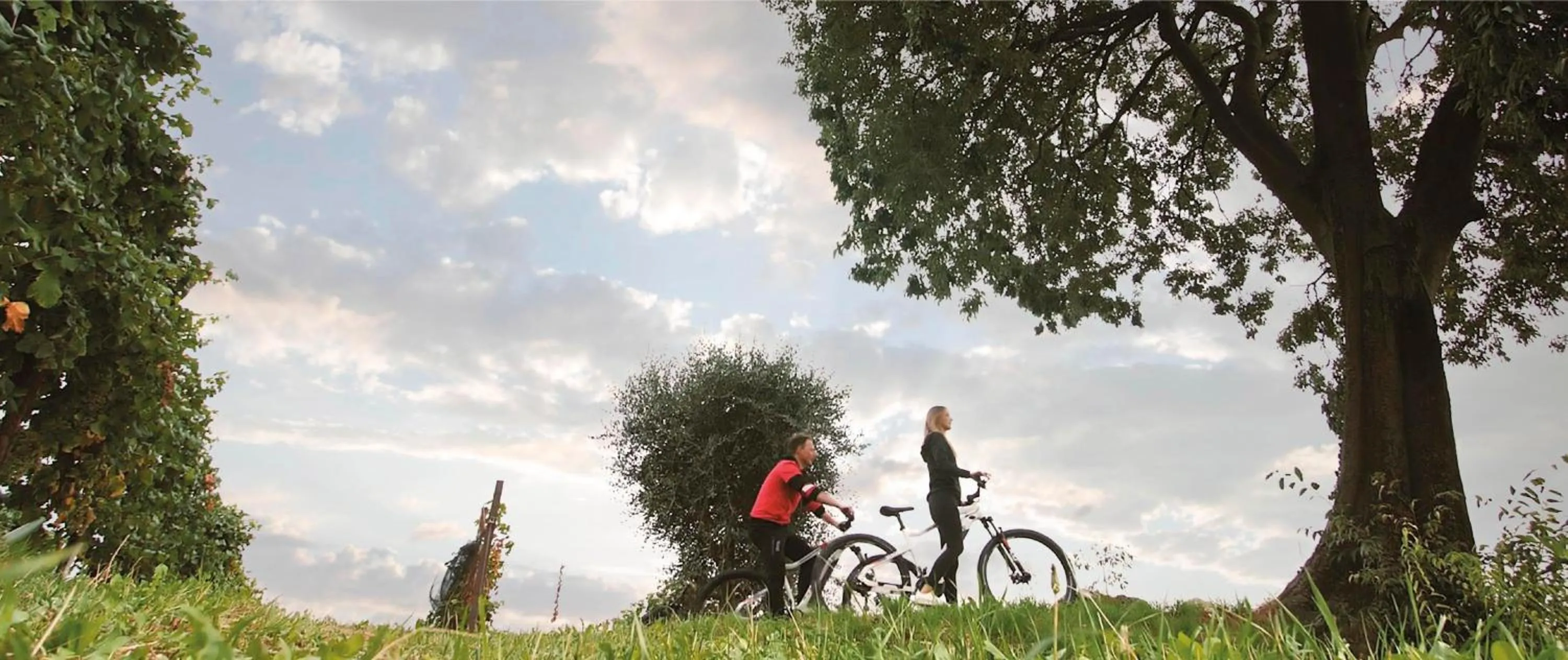 Sports in Agriturismo B&B Casa Bortolin