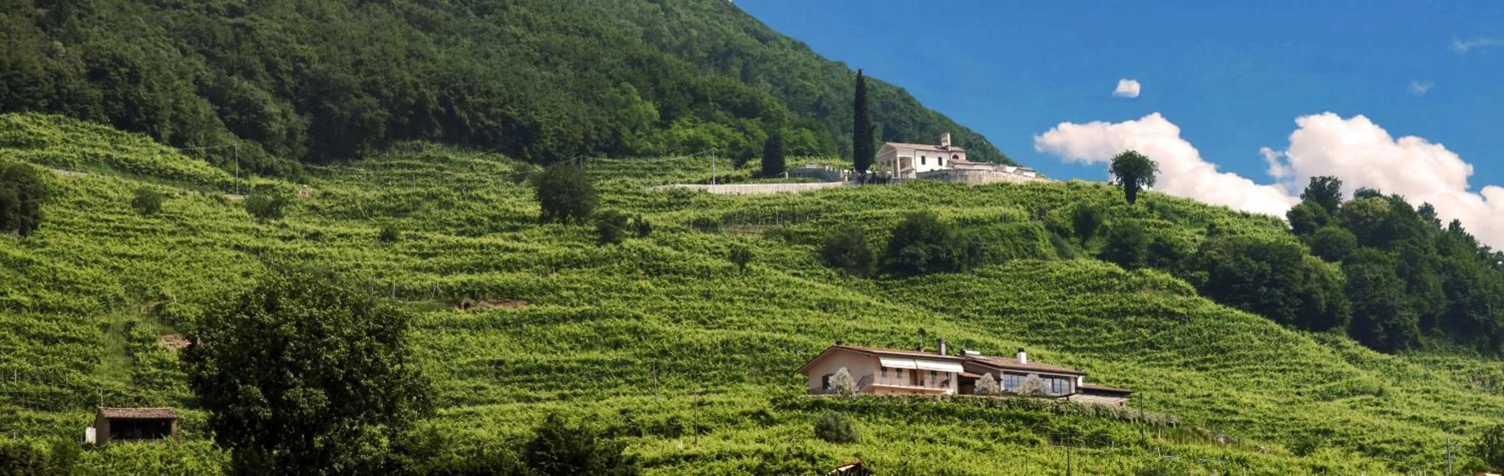 Natural landscape in Agriturismo B&B Casa Bortolin