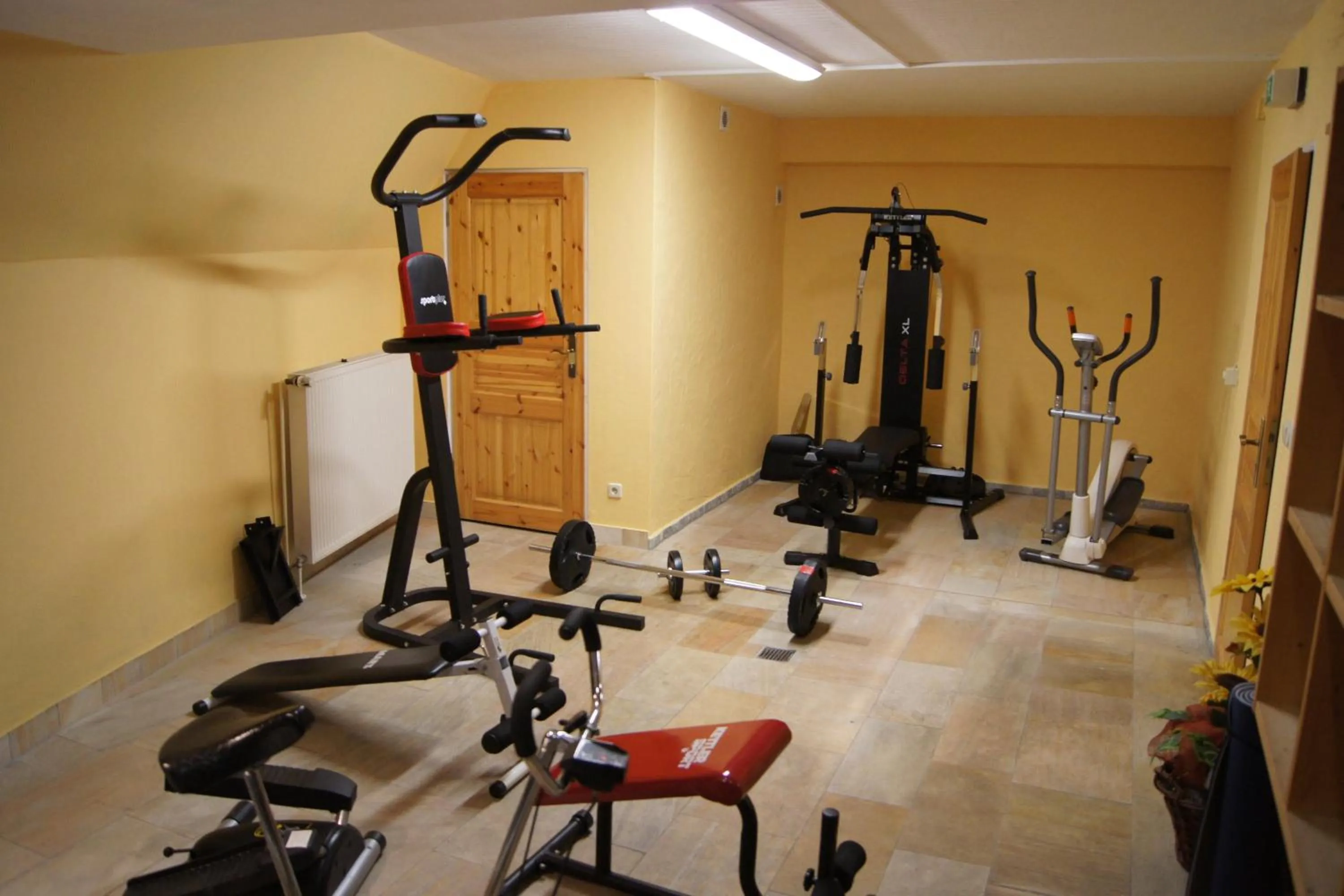 Fitness centre/facilities in Hotel "Drei Rosen" OHG Regina & Hans - Peter Faßbinder