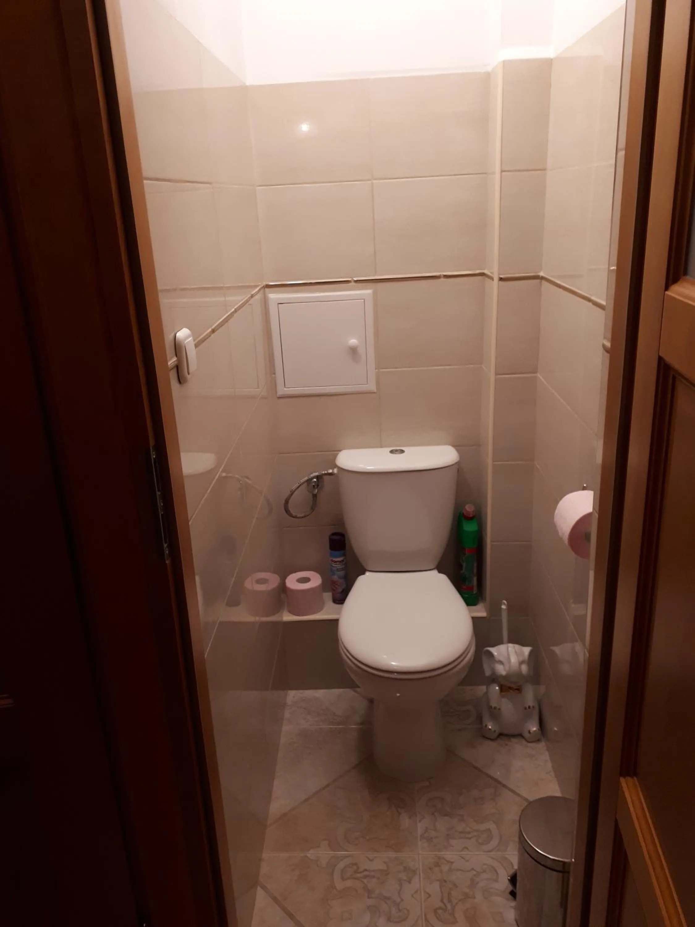Toilet in Pokoje u Danki