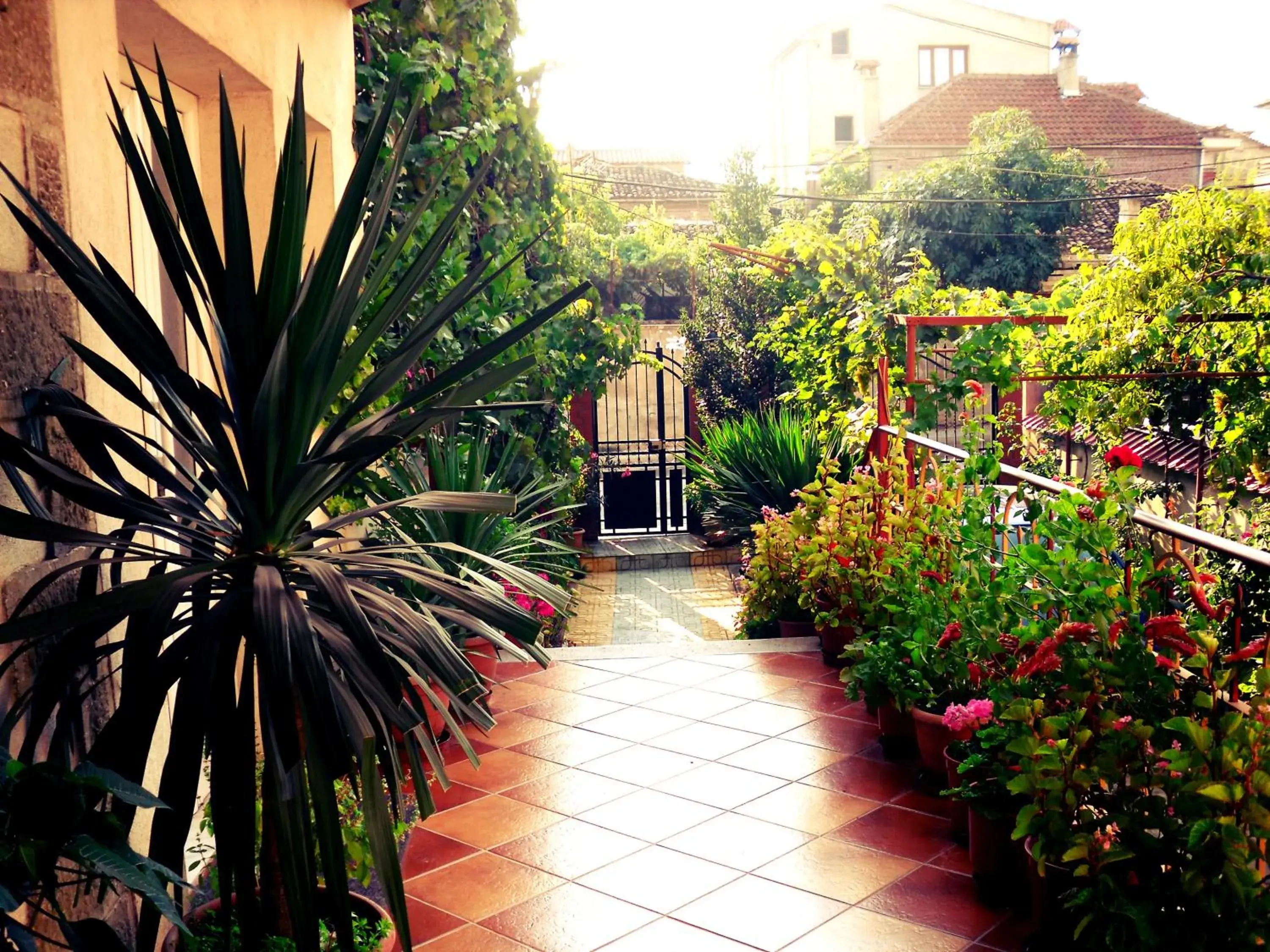 Apartment with Balcony in Diana Guesthouse Apartment with Balcony in Diana Guesthouse
