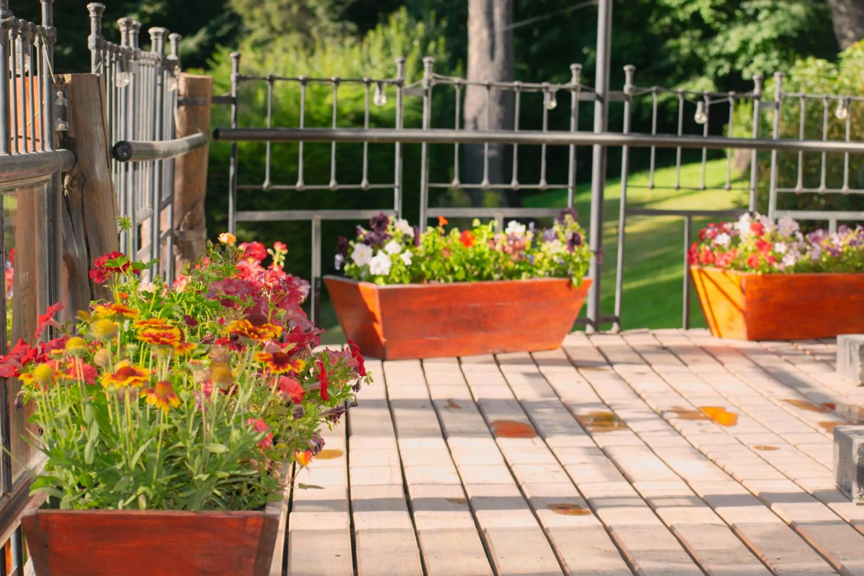 Spring in Hosteria El Condado