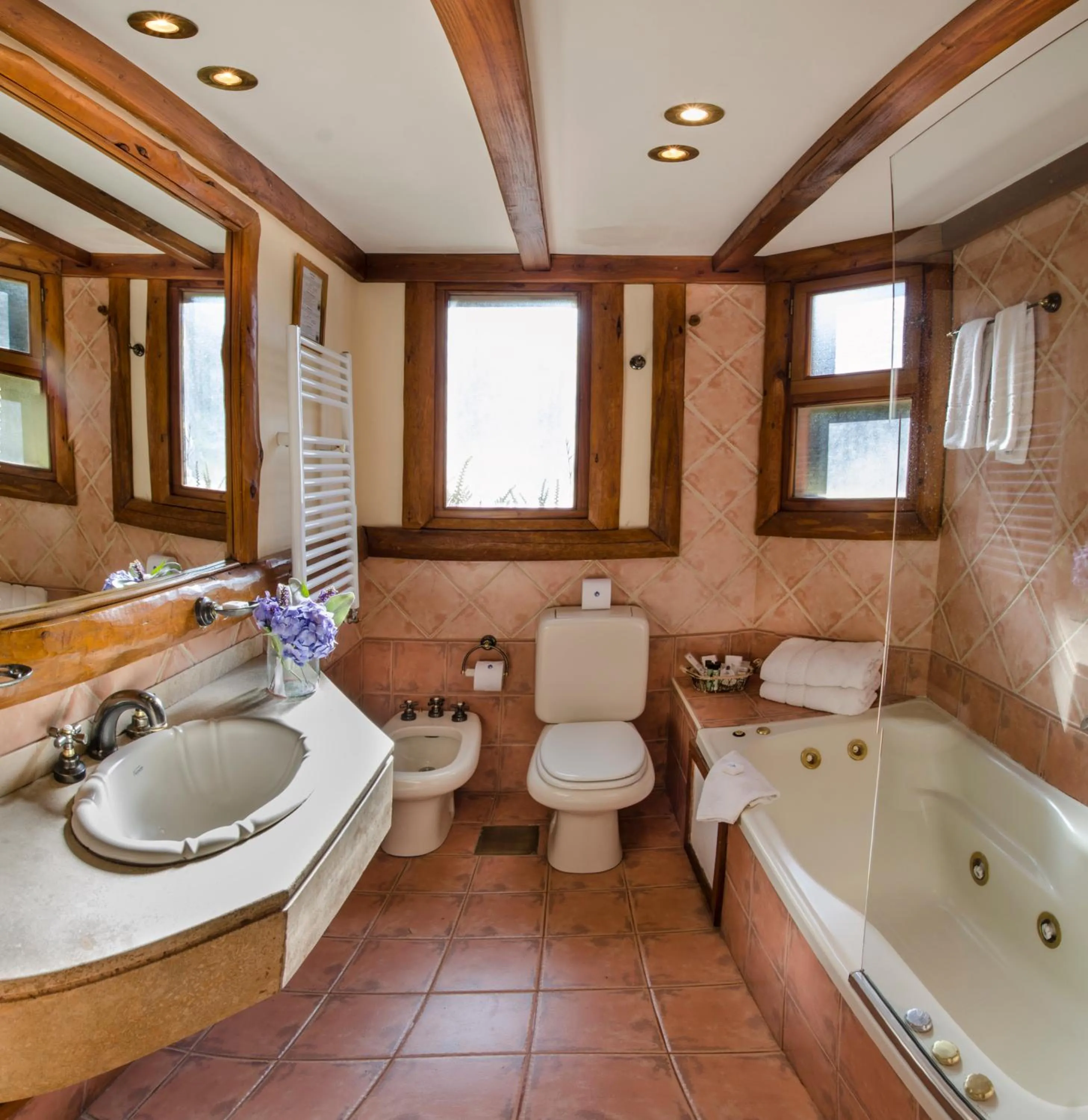 Toilet in Nido del Cóndor Hotel & Spa