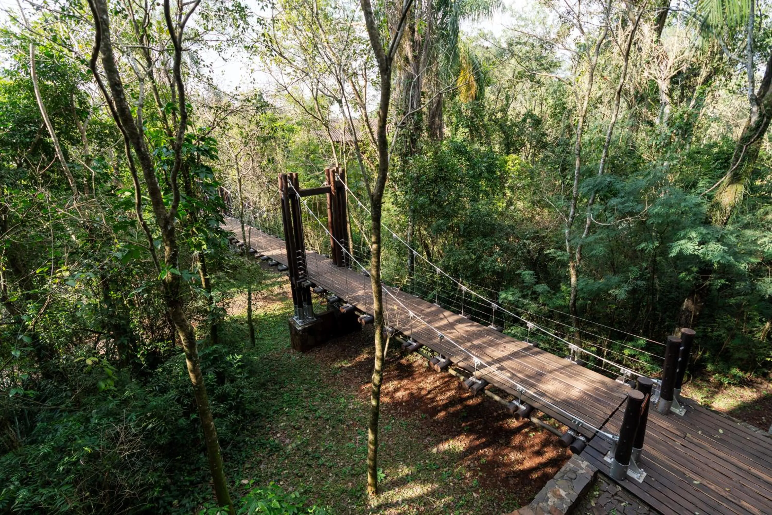 Natural landscape in Loi Suites Iguazu Hotel