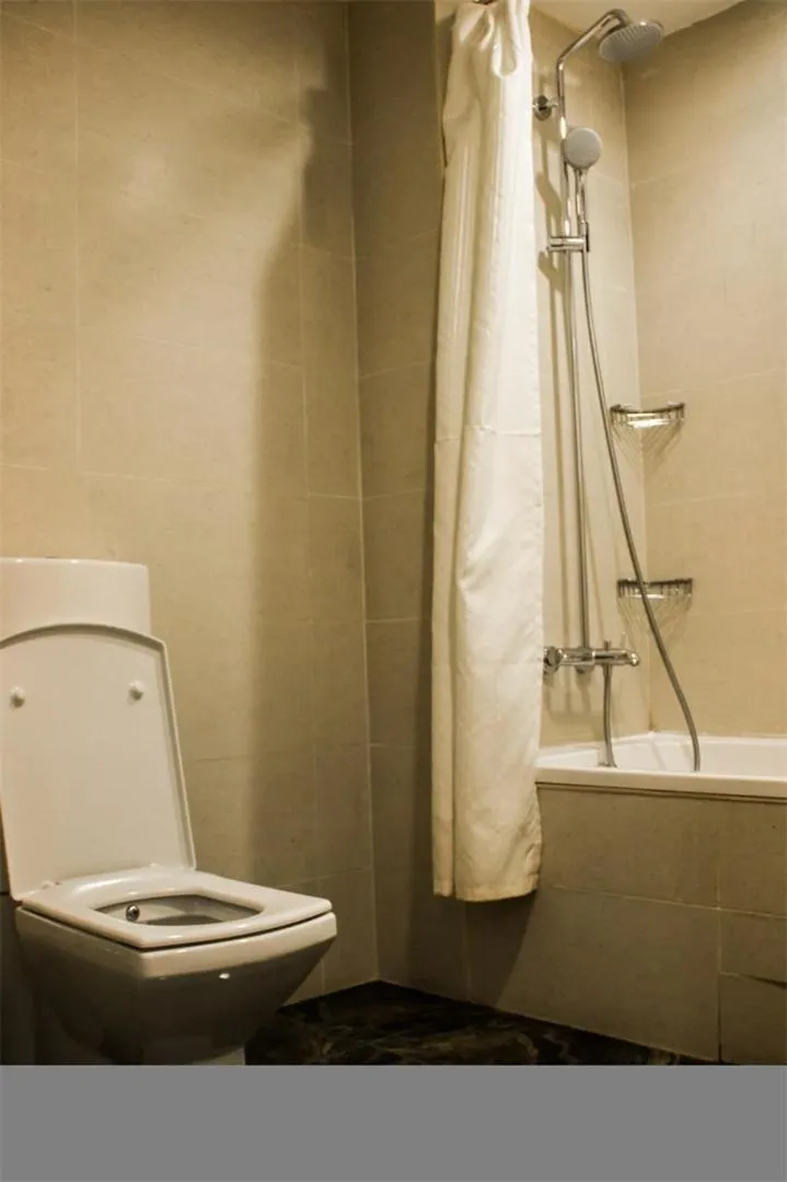 Toilet in Parkside Hotel & Apartments