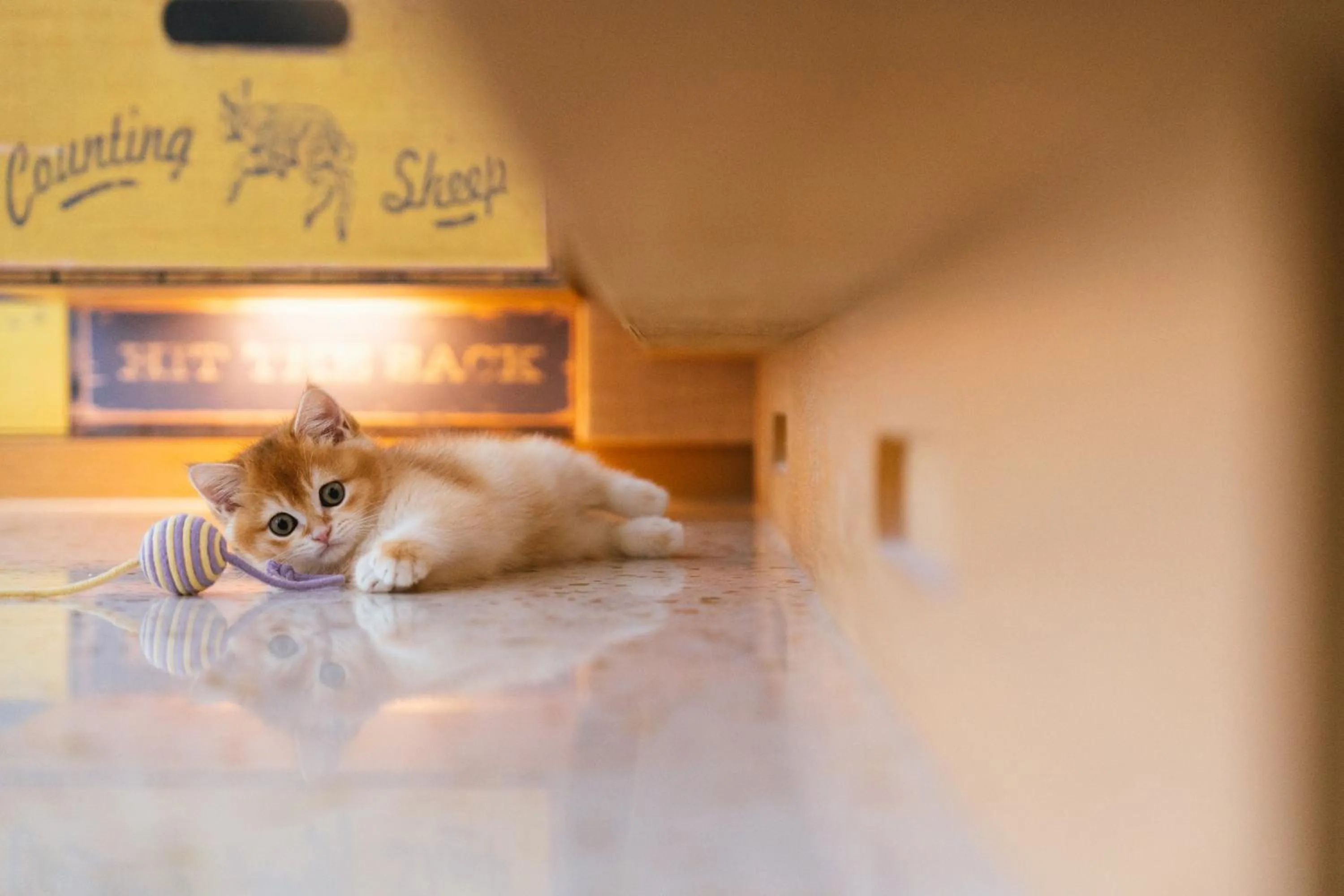 Bedroom in Hotel Indigo Kaohsiung Central Park by IHG