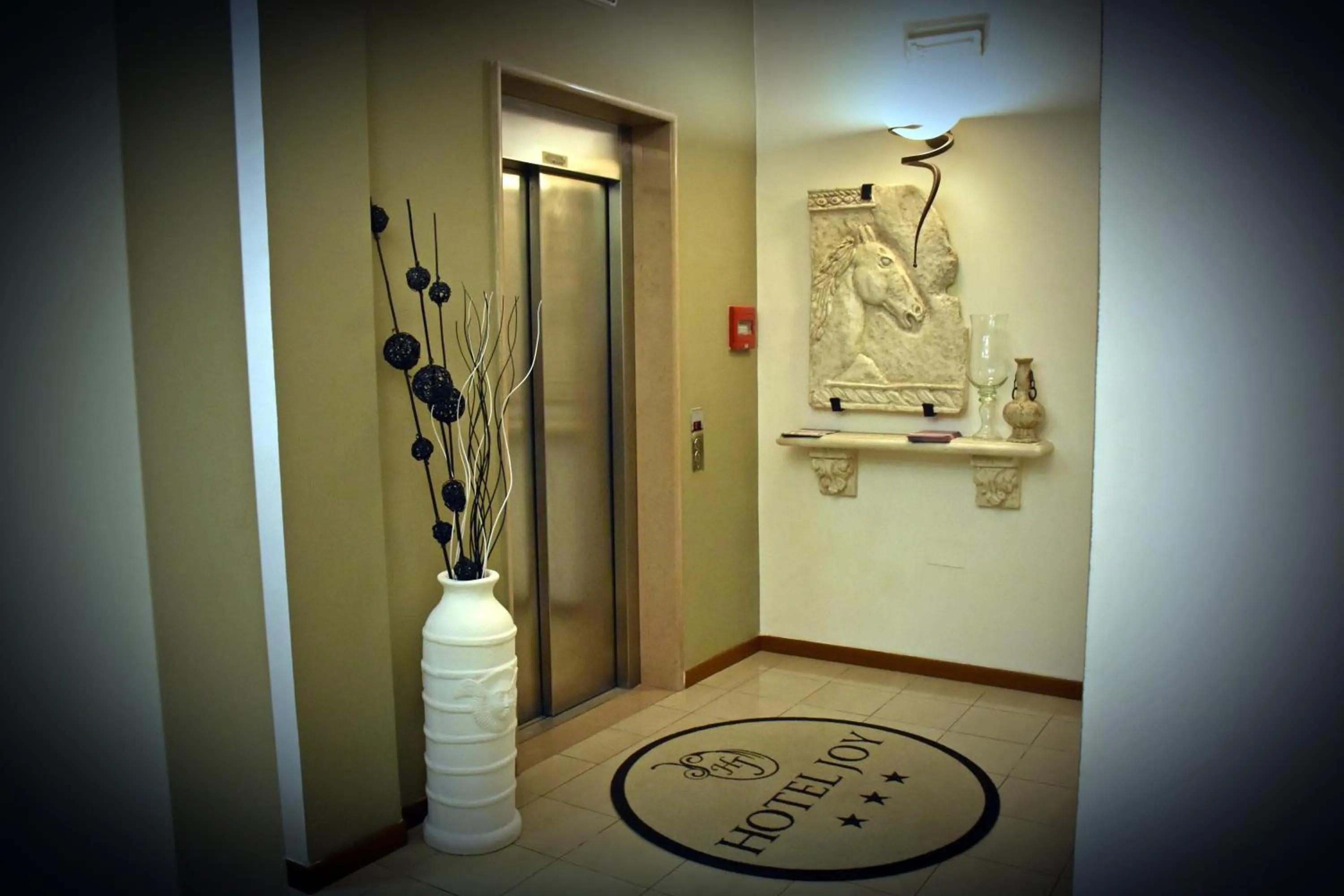 Area and facilities in Hotel Joy