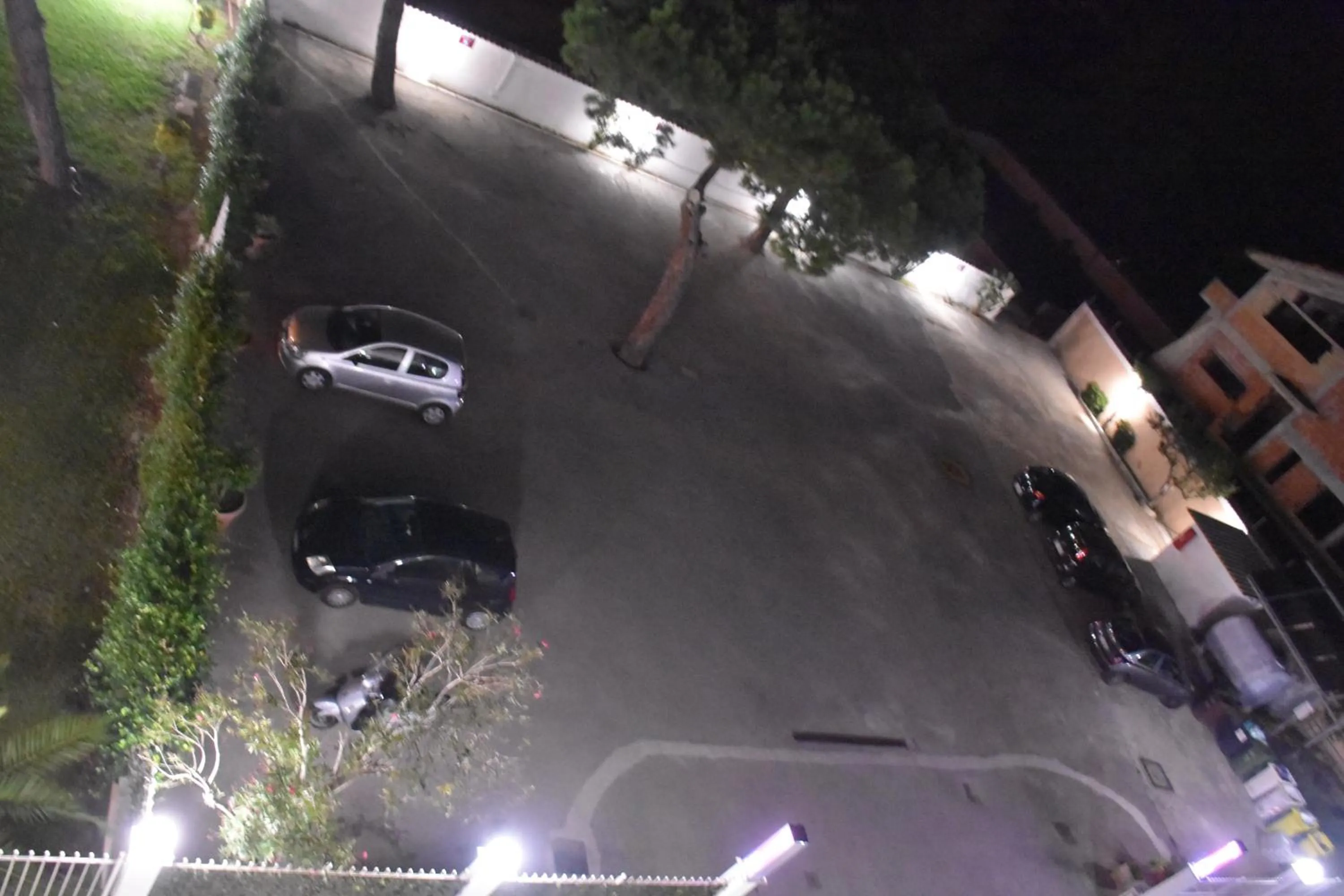 Area and facilities in Hotel Joy