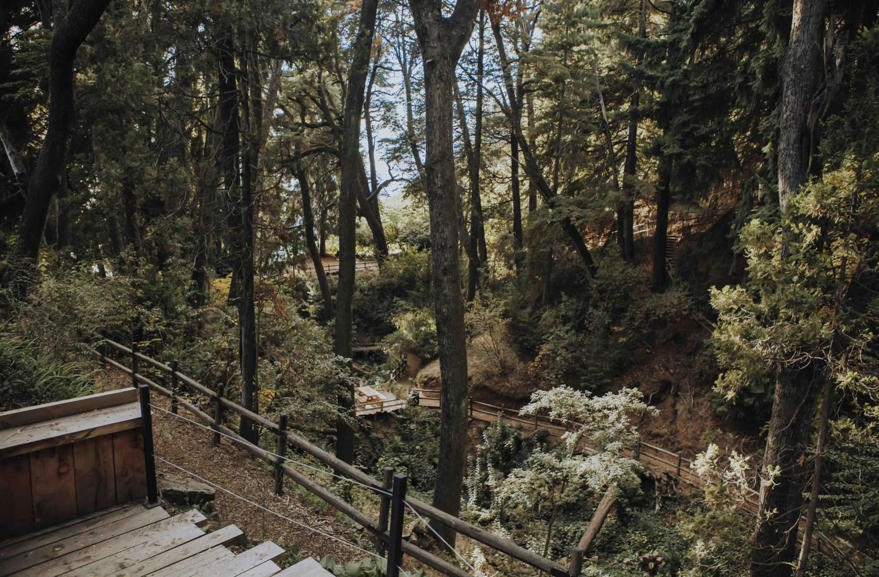 La Cascada Casa Patagónica by DON