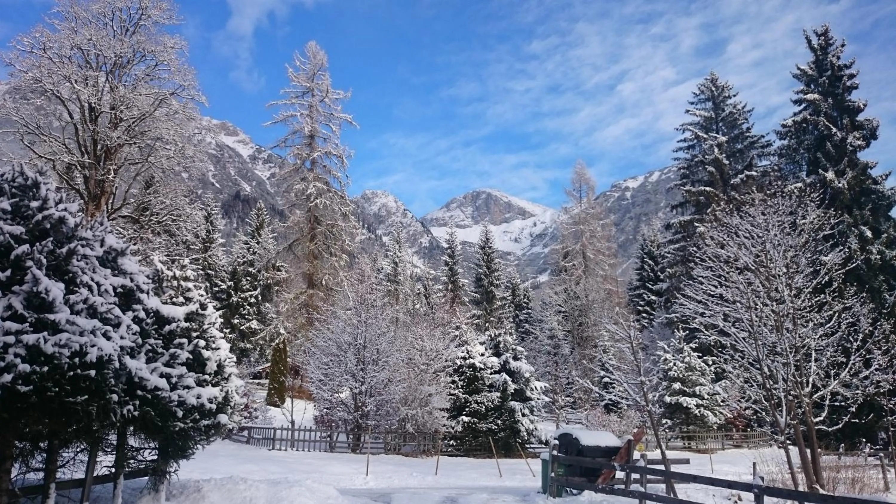 Natural landscape in Pension Hofweyer