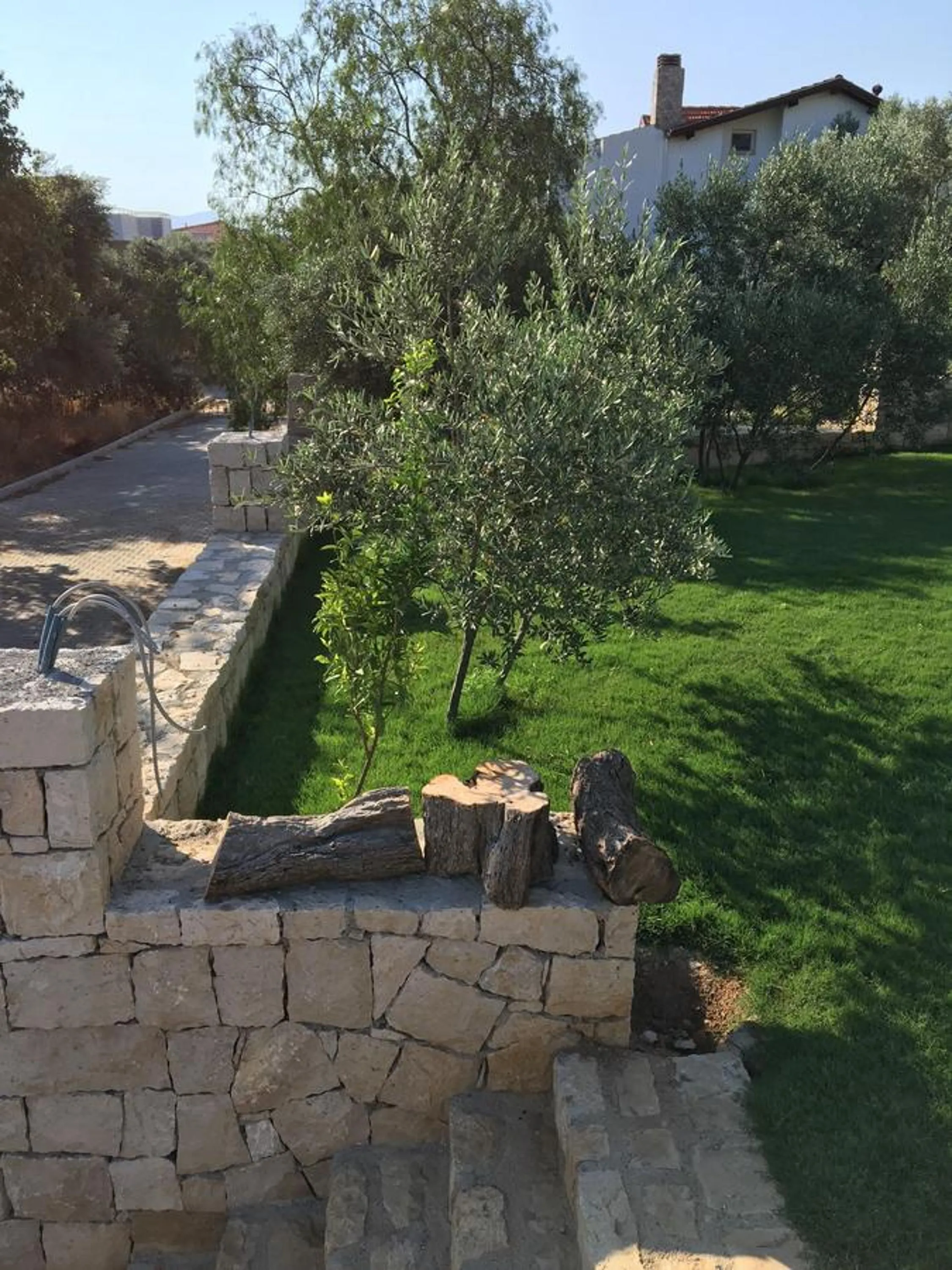 Day in Clementin Suits Sigacık