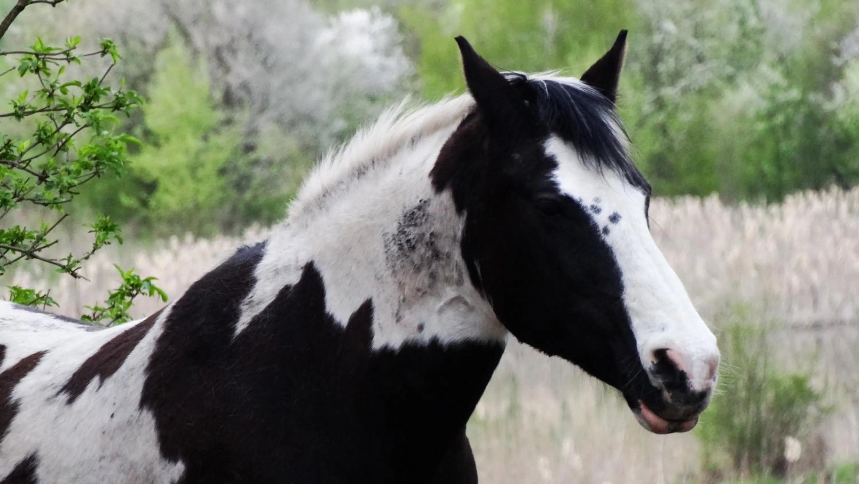 Day in Dom na Mazurach Pilec